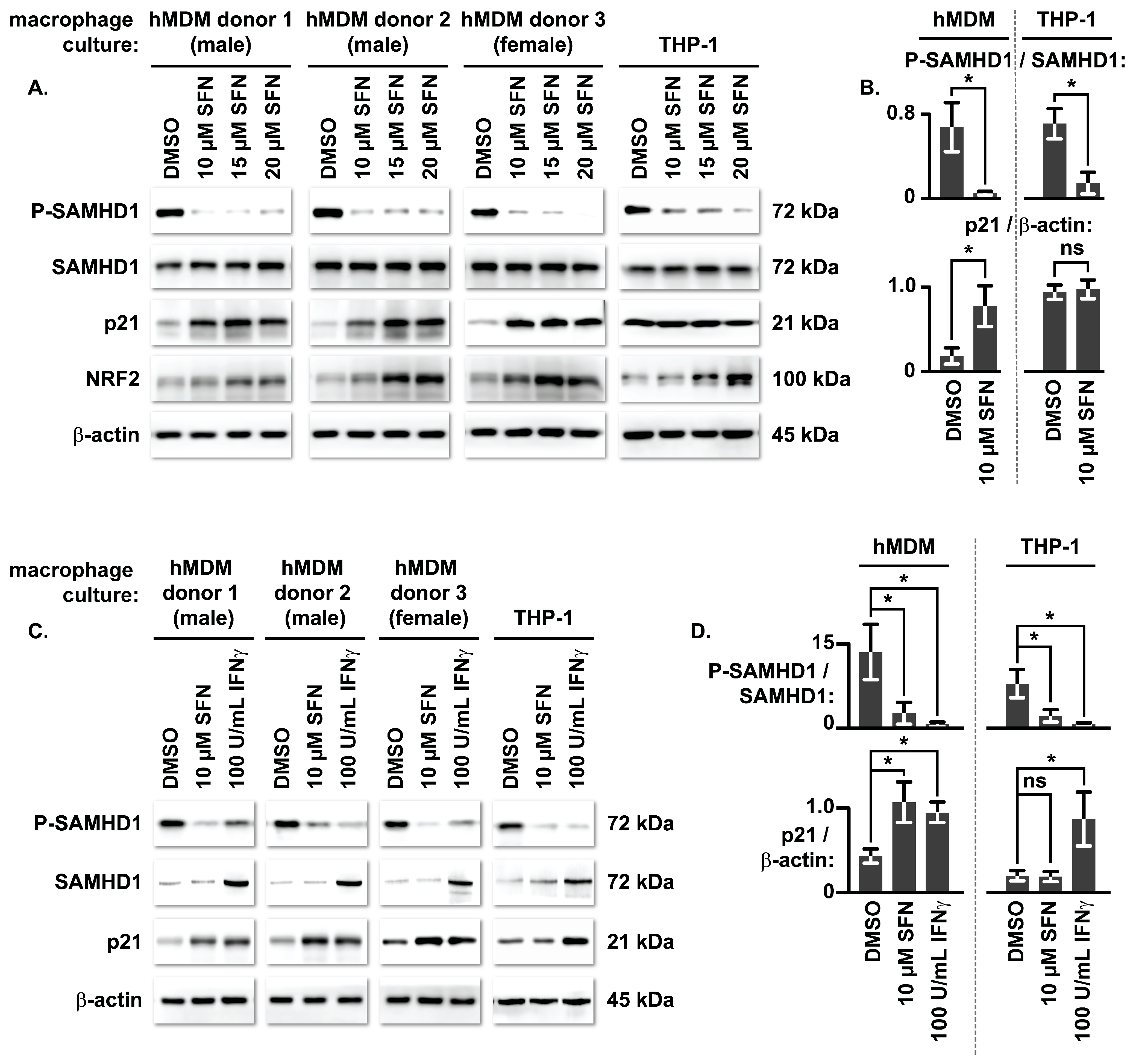 Biomolecules 16 01213 g001 Biomolecules 16 01213 g001