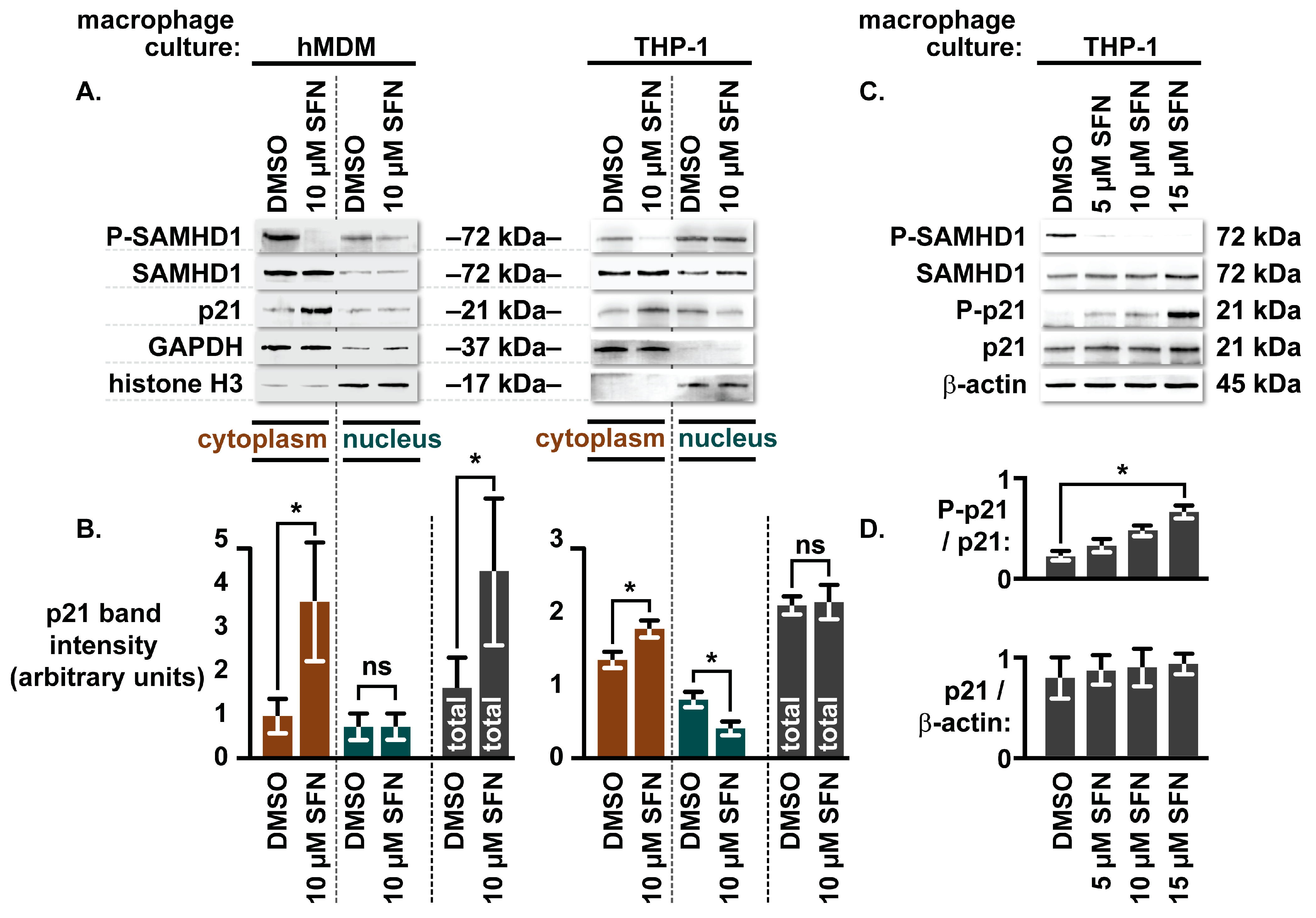 Biomolecules 16 01213 g002 Biomolecules 16 01213 g002