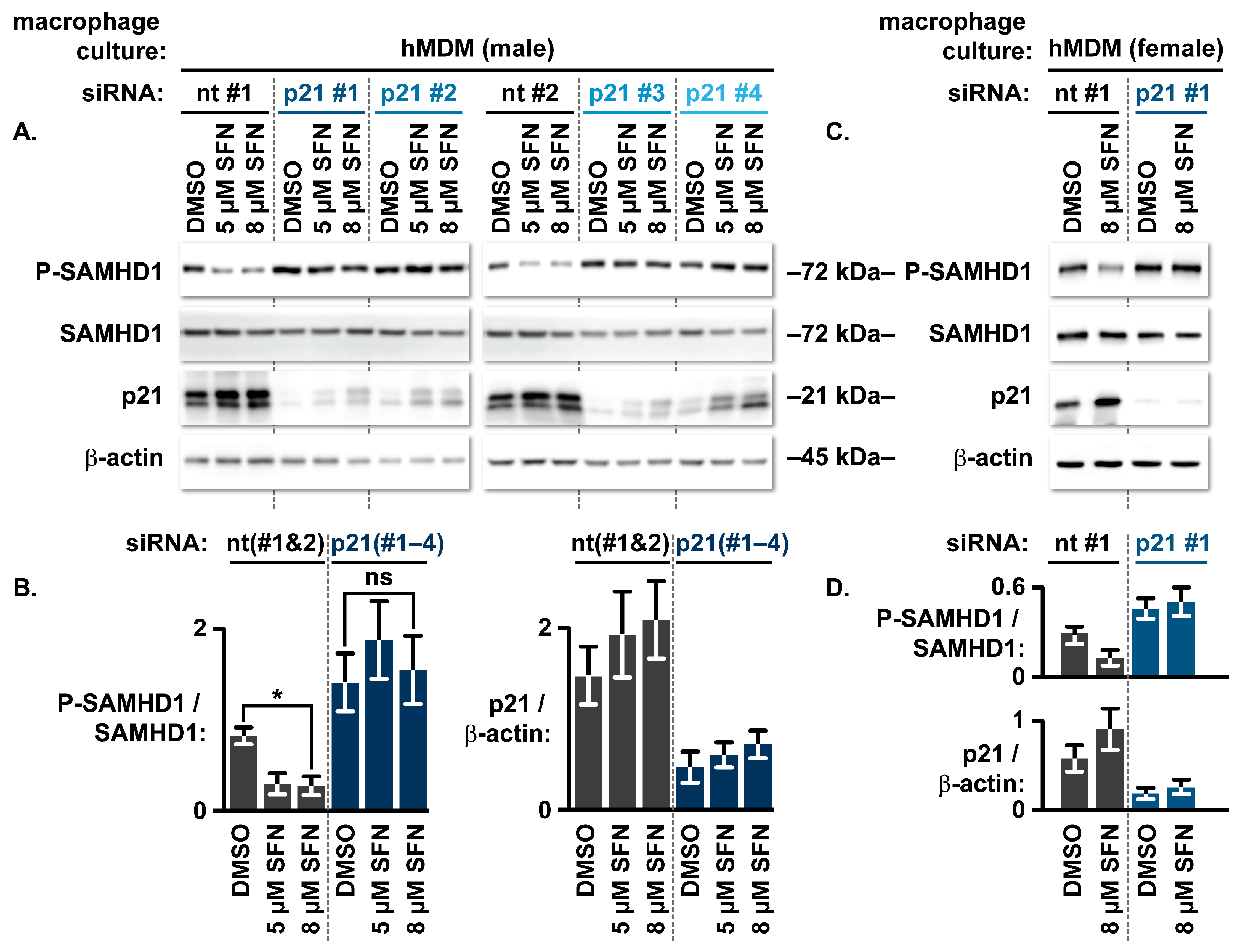 Biomolecules 16 01213 g003 Biomolecules 16 01213 g003