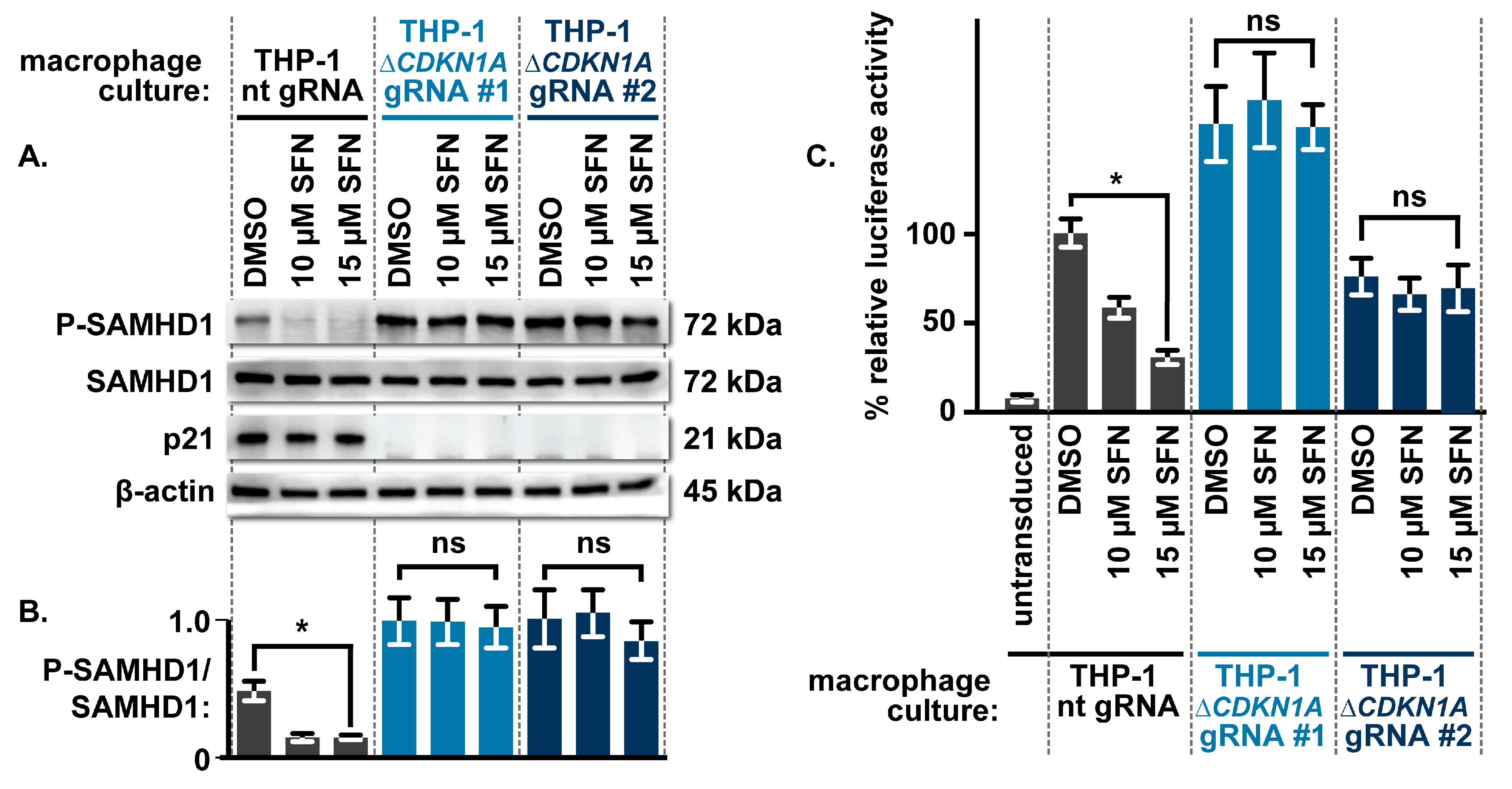Biomolecules 16 01213 g004 Biomolecules 16 01213 g004