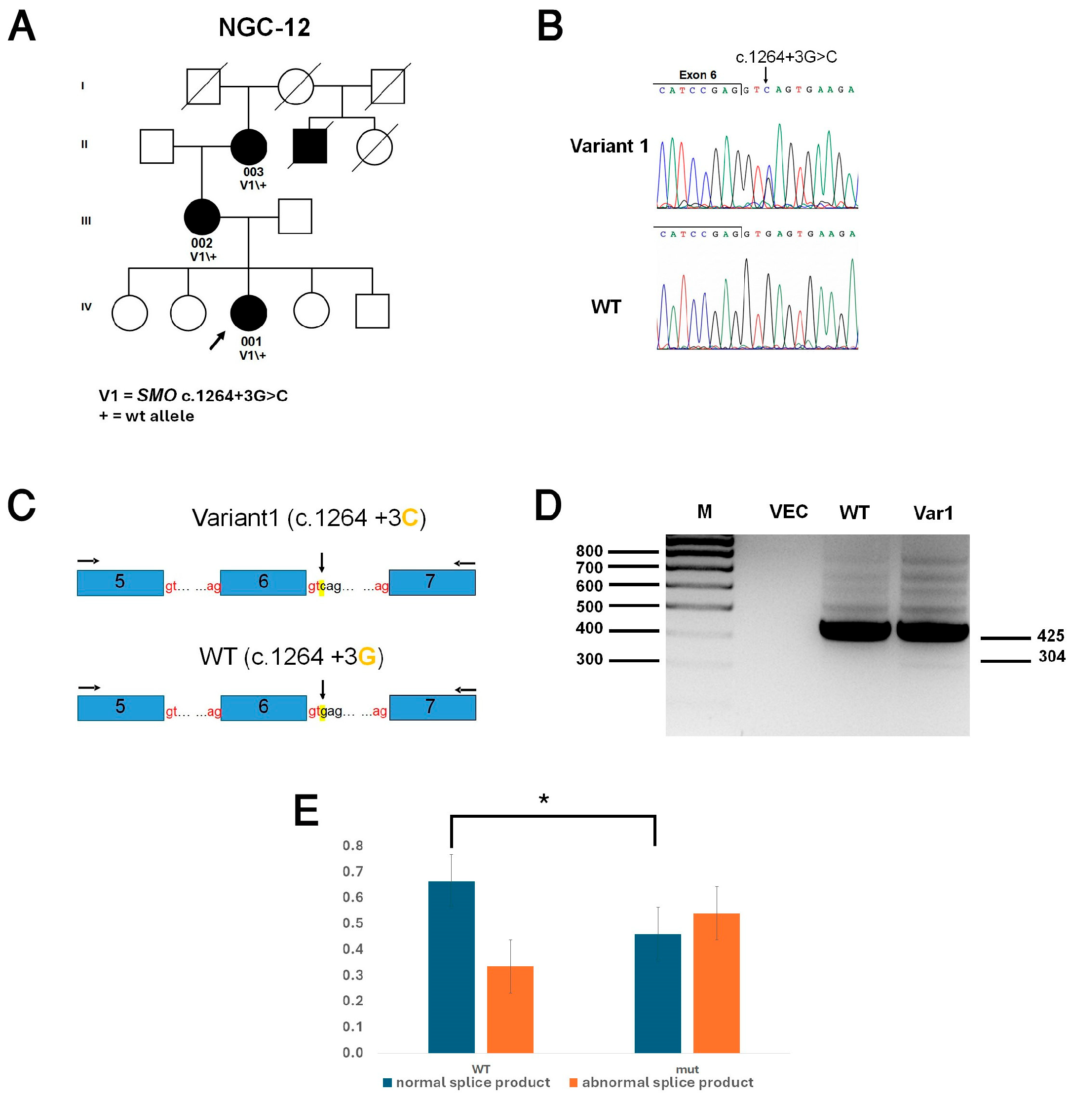 Biomolecules 16 01219 g003 Biomolecules 16 01219 g003
