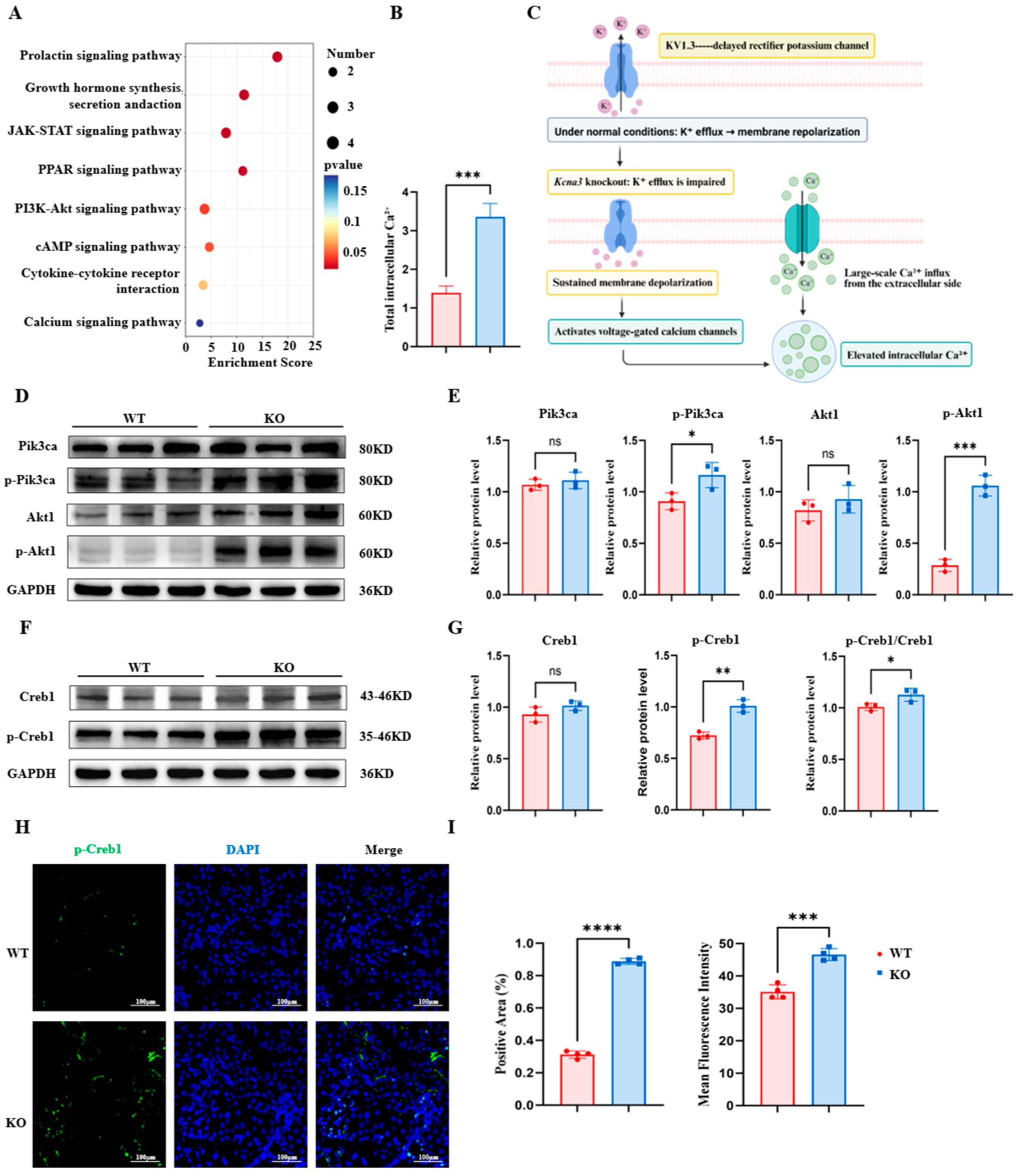 Biomolecules 16 01262 g004