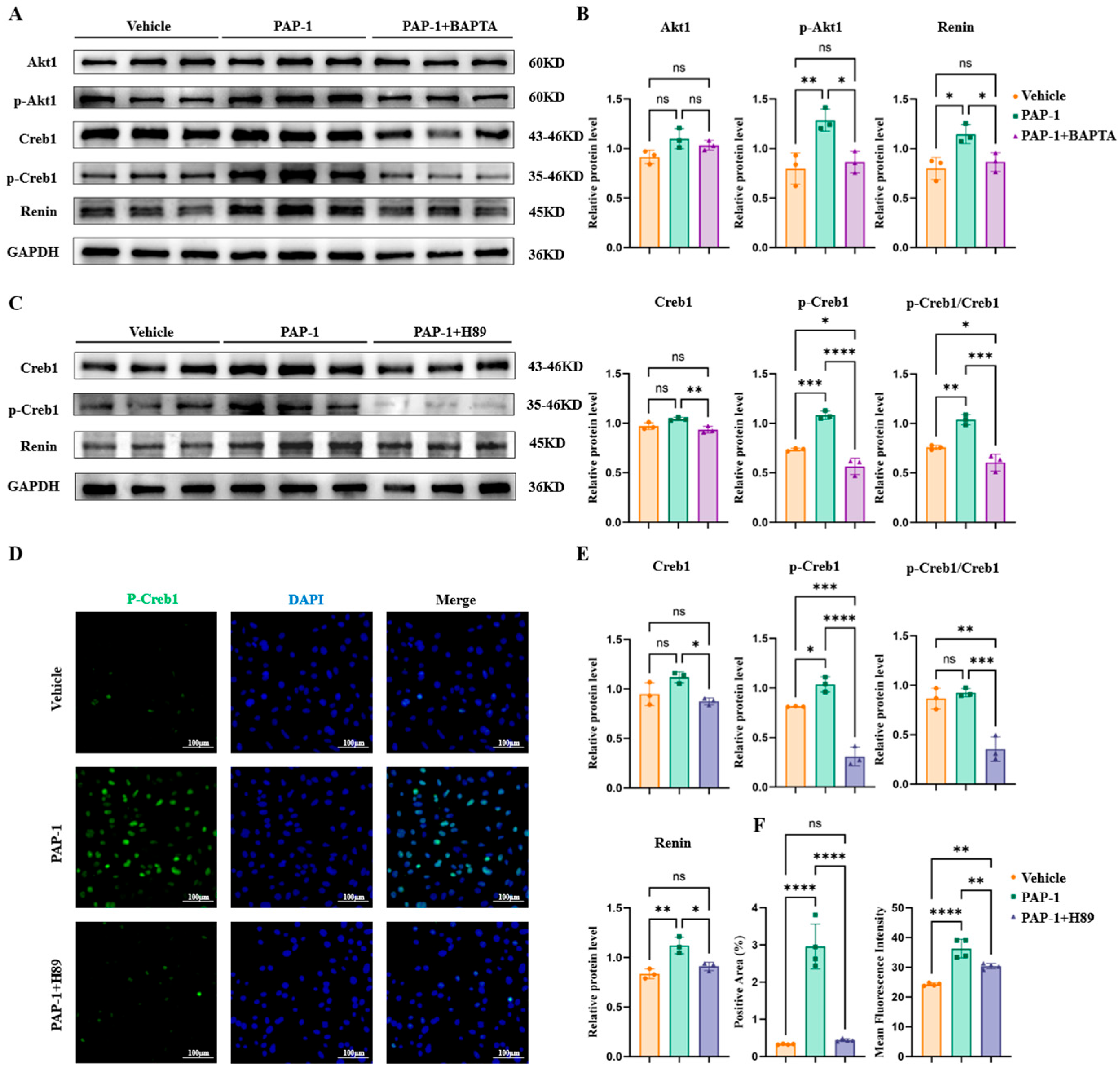 Biomolecules 16 01262 g005