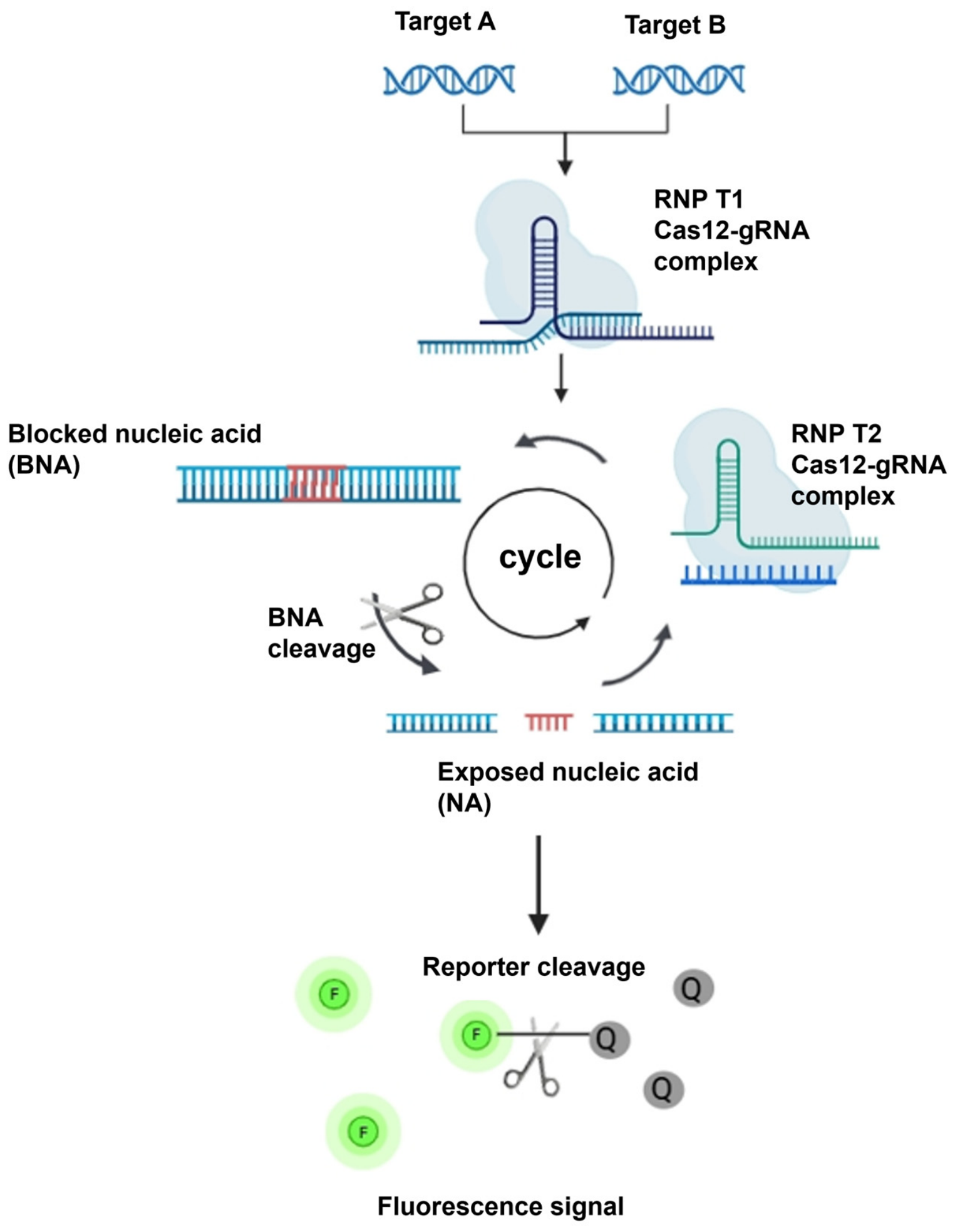 Biomolecules 16 01268 g006