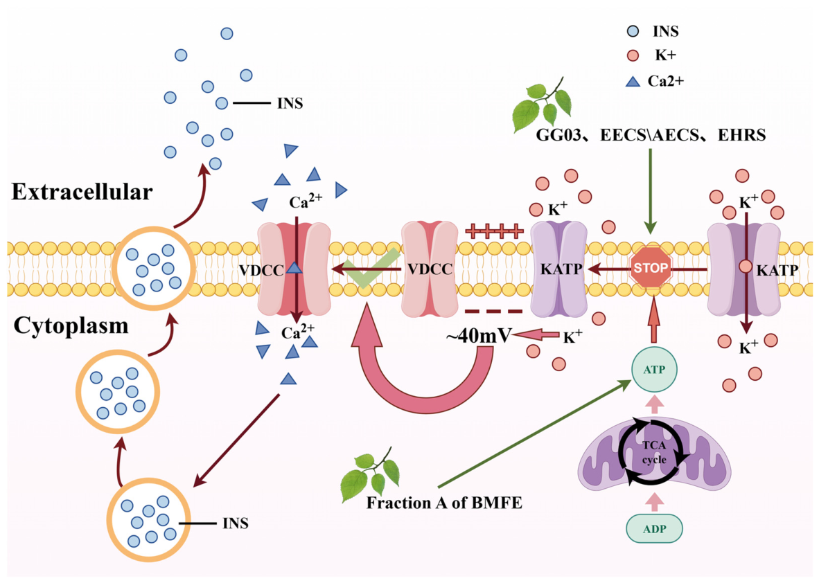 Biomolecules 16 01338 g003 Biomolecules 16 01338 g003