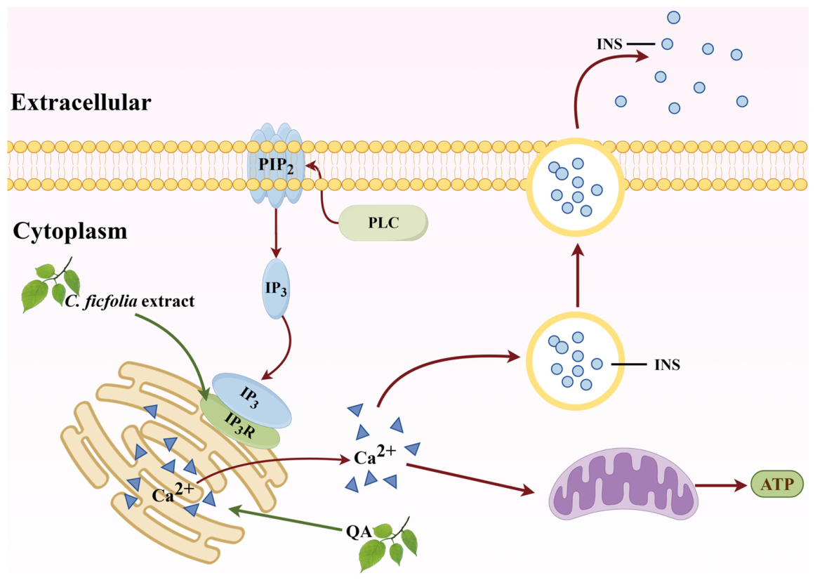 Biomolecules 16 01338 g004 Biomolecules 16 01338 g004