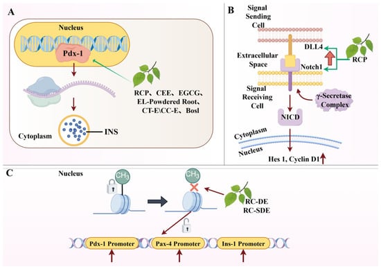 Biomolecules 16 01338 g006