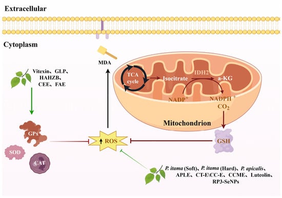 Biomolecules 16 01338 g007