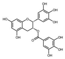 Biomolecules 16 01338 i003 Biomolecules 16 01338 i003