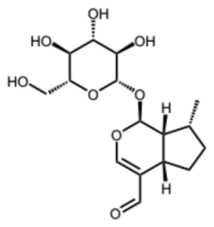 Biomolecules 16 01338 i008 Biomolecules 16 01338 i008