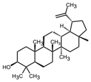 Biomolecules 16 01338 i010 Biomolecules 16 01338 i010