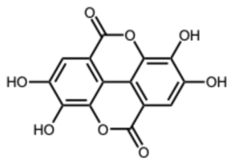 Biomolecules 16 01338 i018 Biomolecules 16 01338 i018