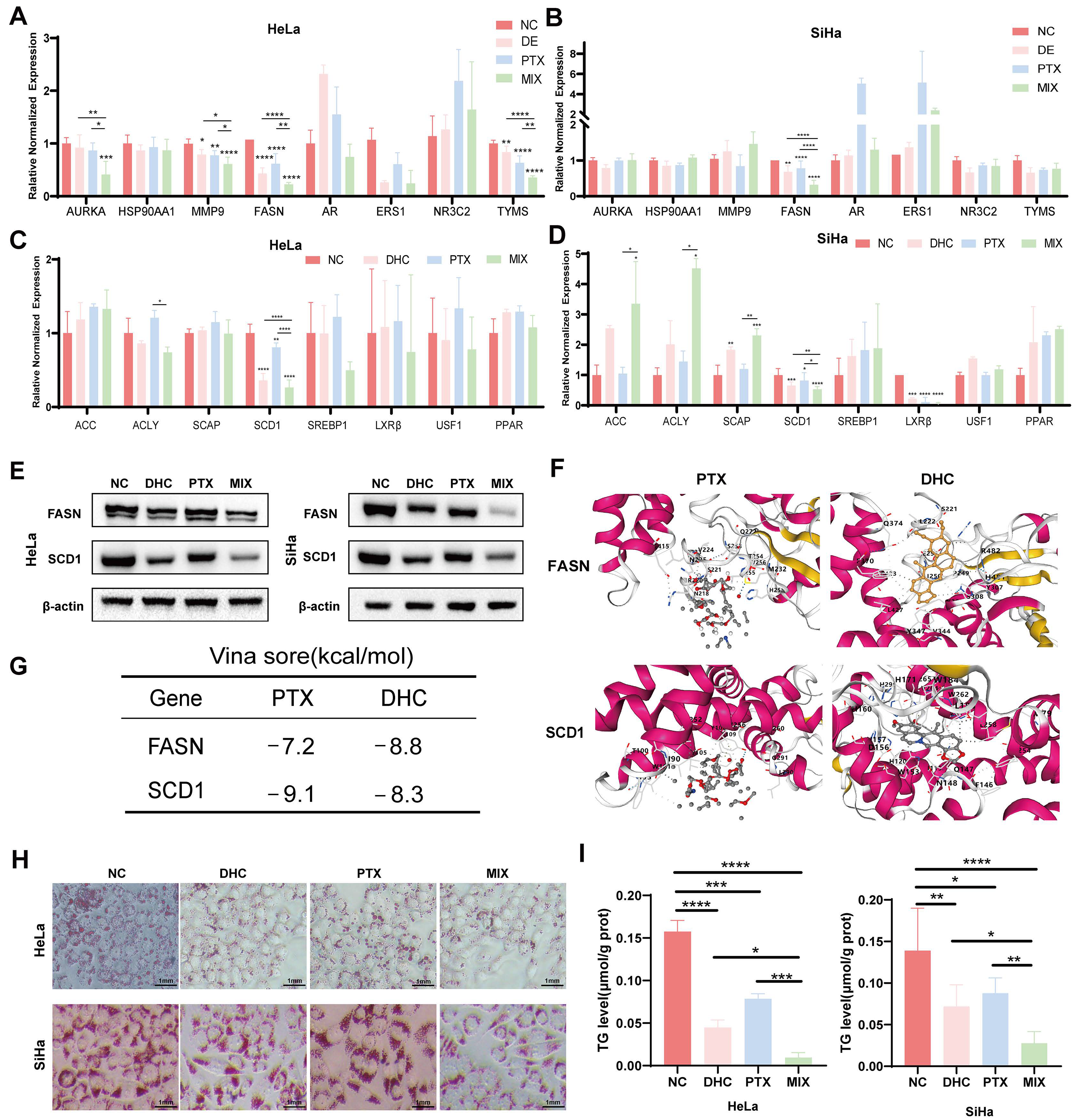Biomolecules 16 01354 g005 Biomolecules 16 01354 g005