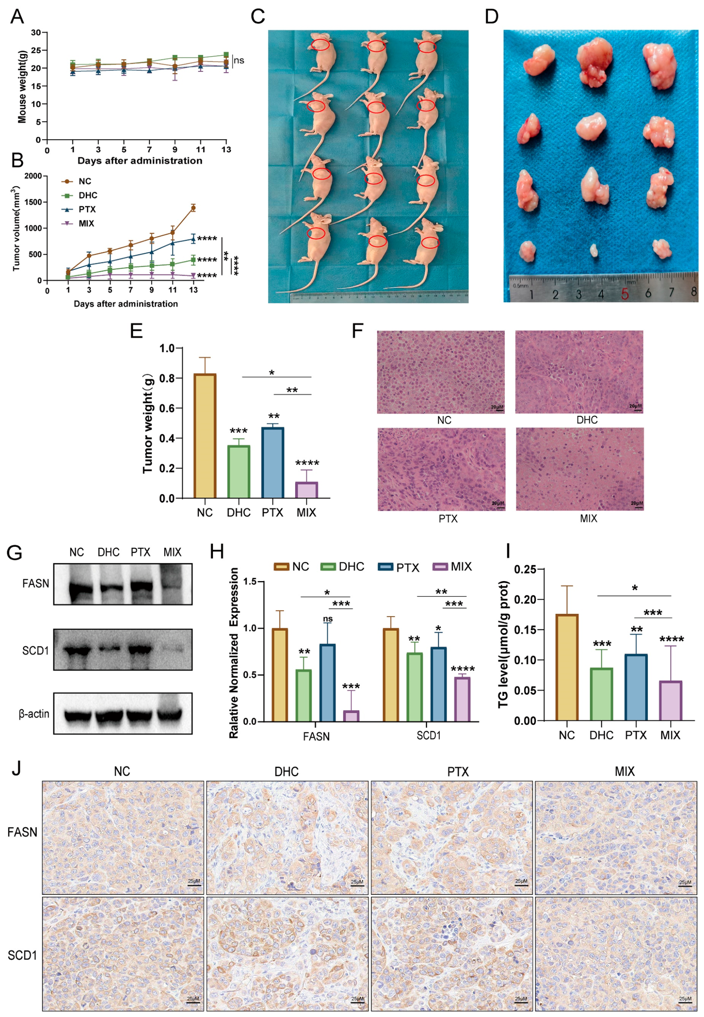 Biomolecules 16 01354 g008 Biomolecules 16 01354 g008