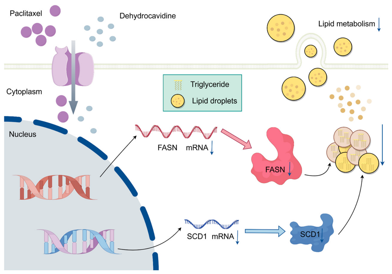 Biomolecules 16 01354 g009 Biomolecules 16 01354 g009