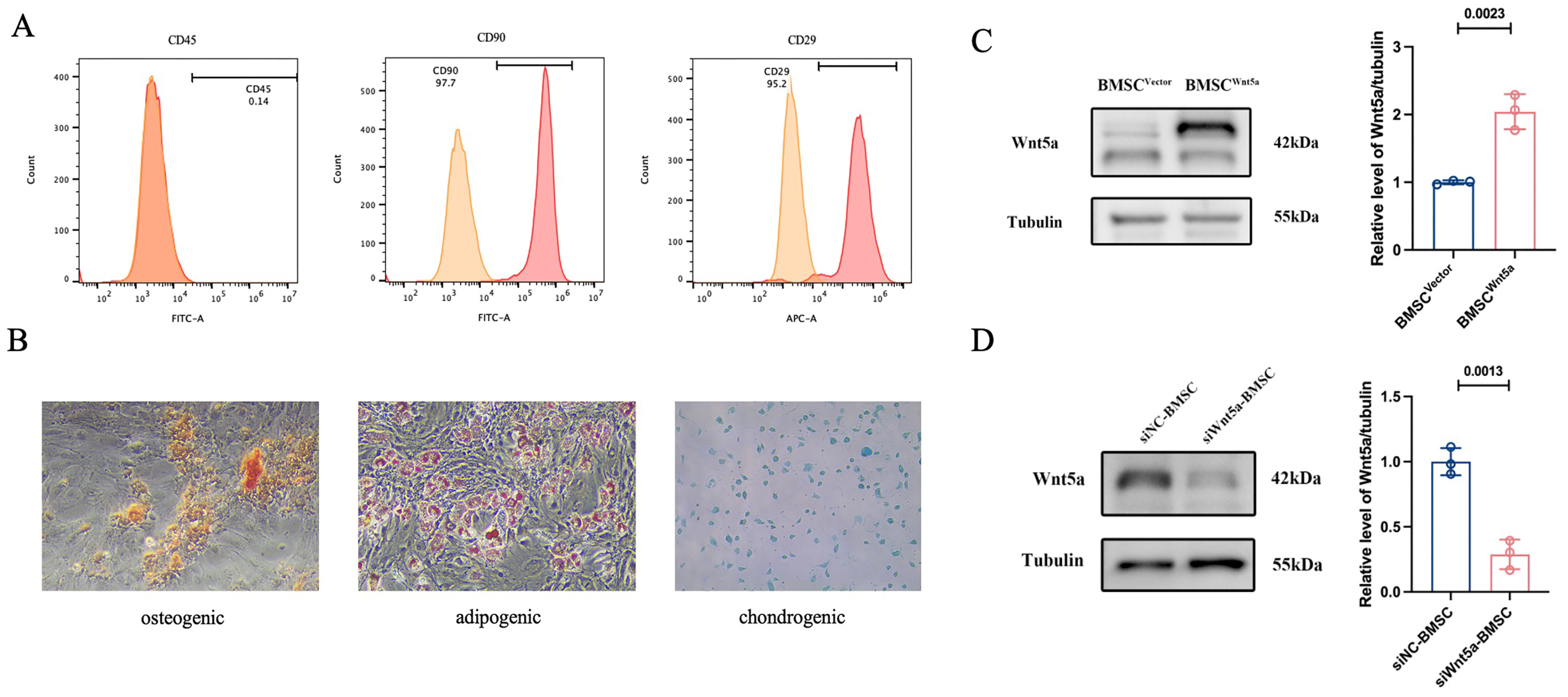 Biomolecules 16 01356 g001 Biomolecules 16 01356 g001