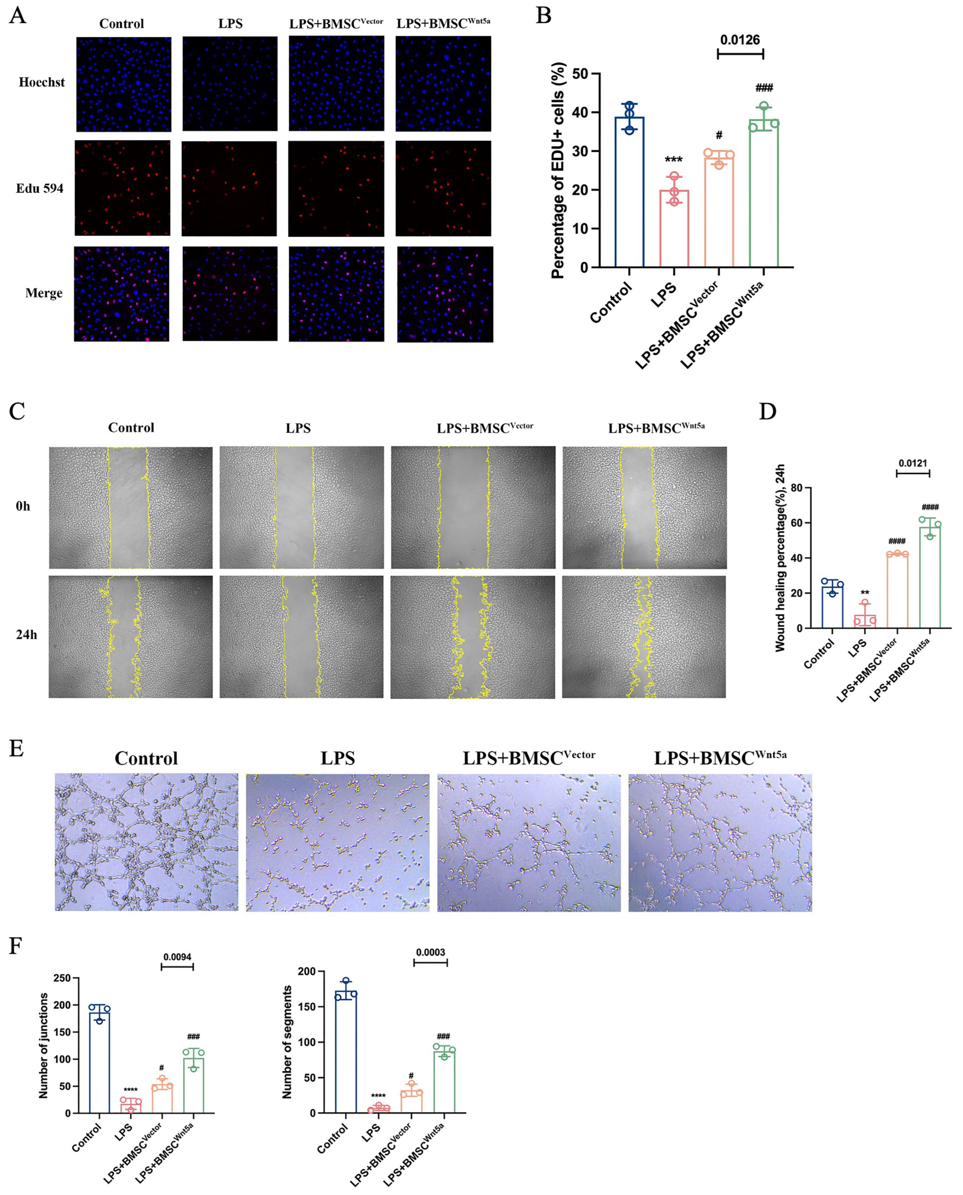 Biomolecules 16 01356 g002 Biomolecules 16 01356 g002