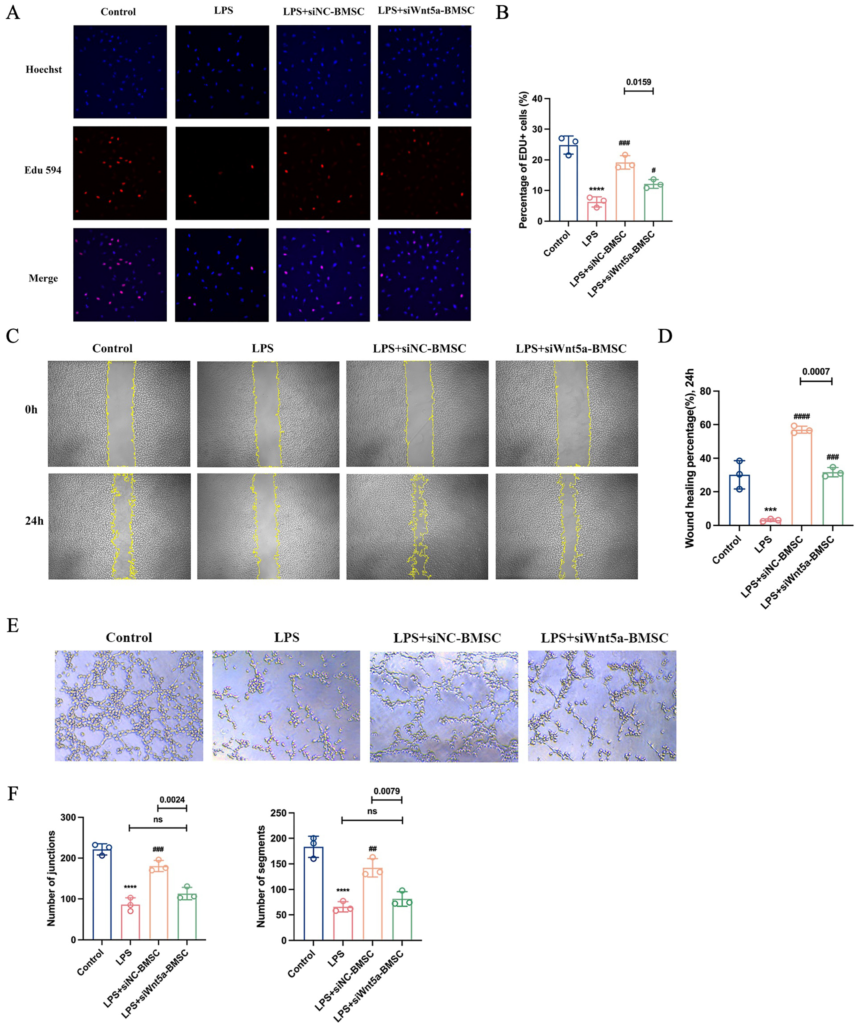 Biomolecules 16 01356 g003 Biomolecules 16 01356 g003