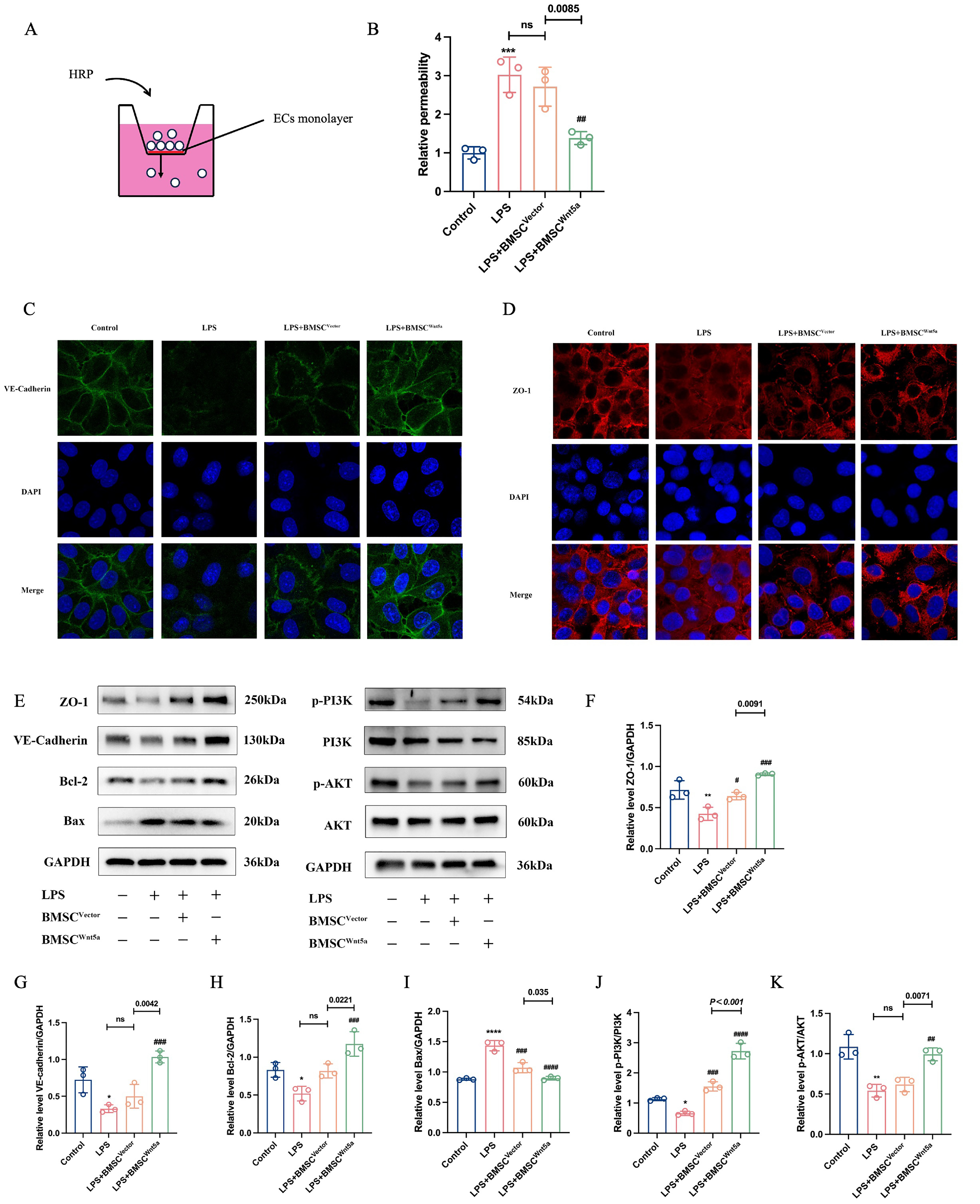 Biomolecules 16 01356 g004 Biomolecules 16 01356 g004