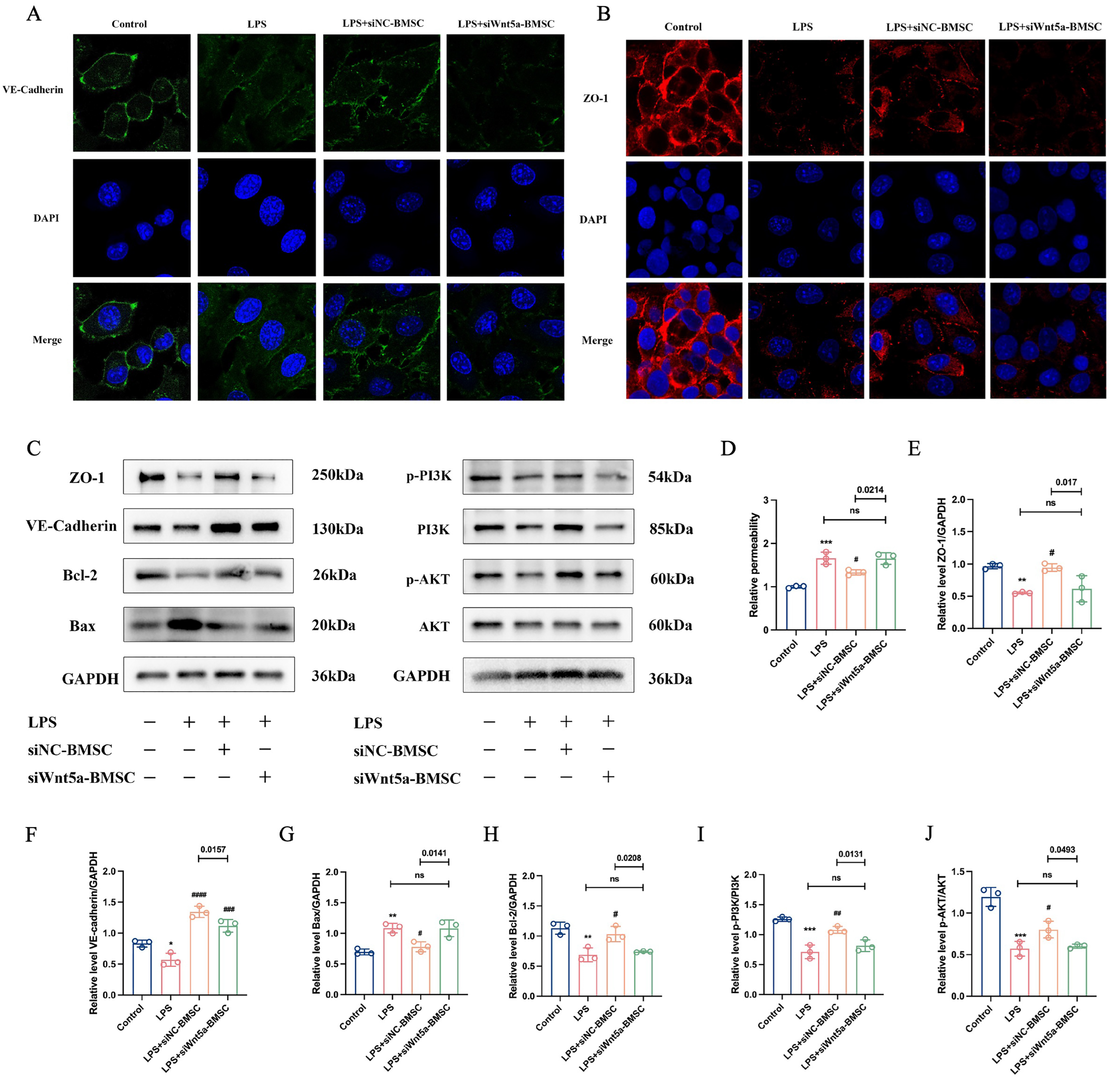 Biomolecules 16 01356 g005 Biomolecules 16 01356 g005