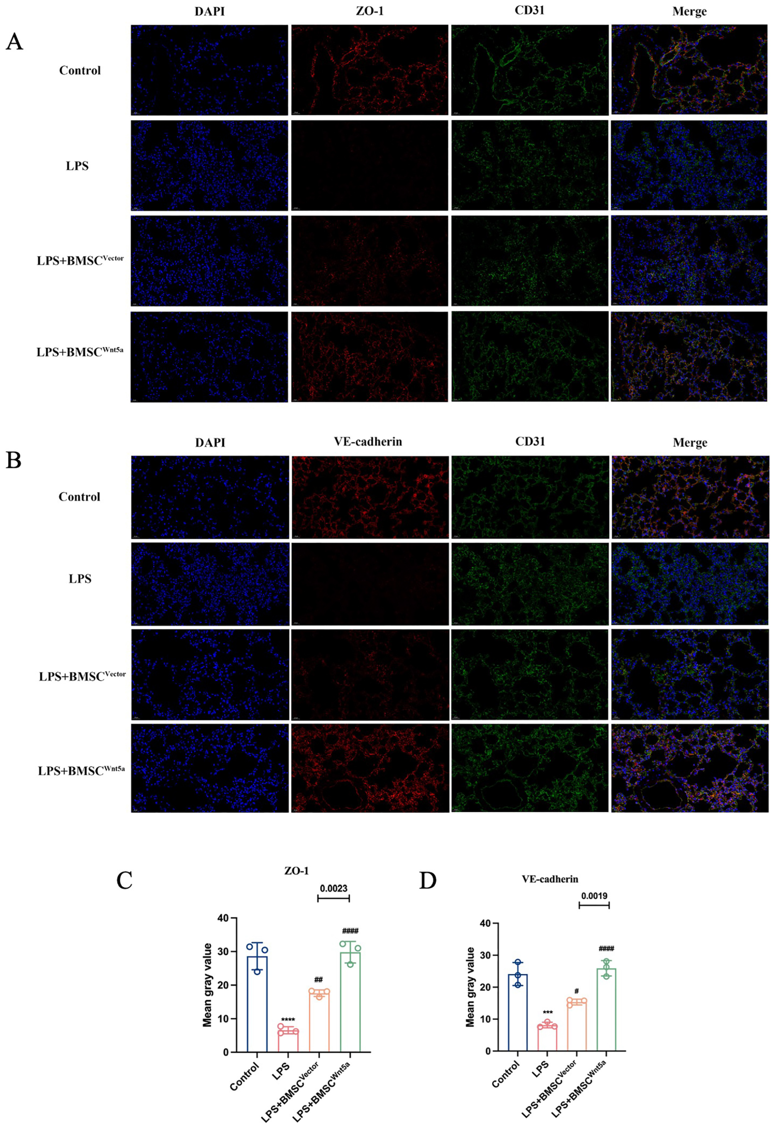 Biomolecules 16 01356 g008 Biomolecules 16 01356 g008