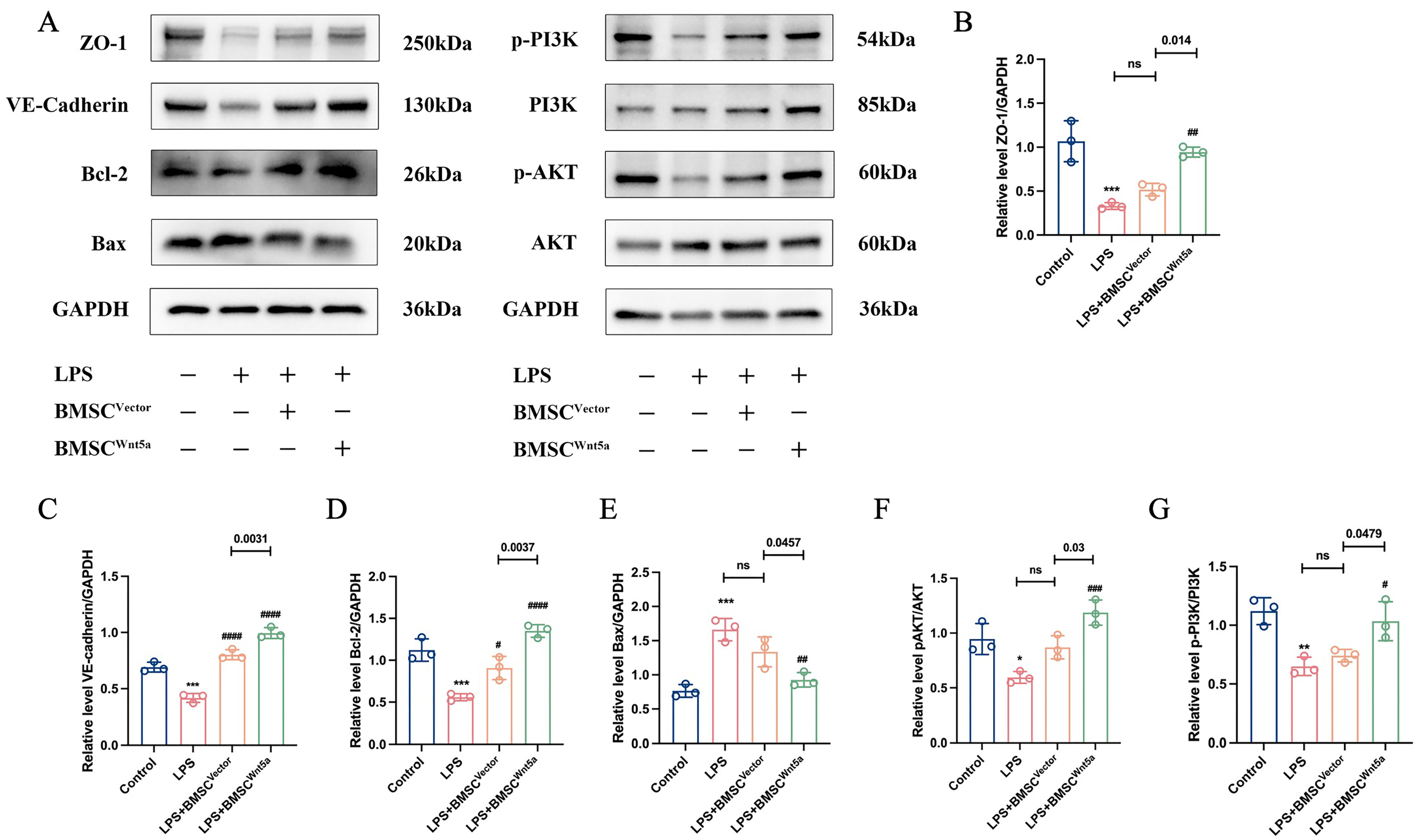 Biomolecules 16 01356 g009 Biomolecules 16 01356 g009