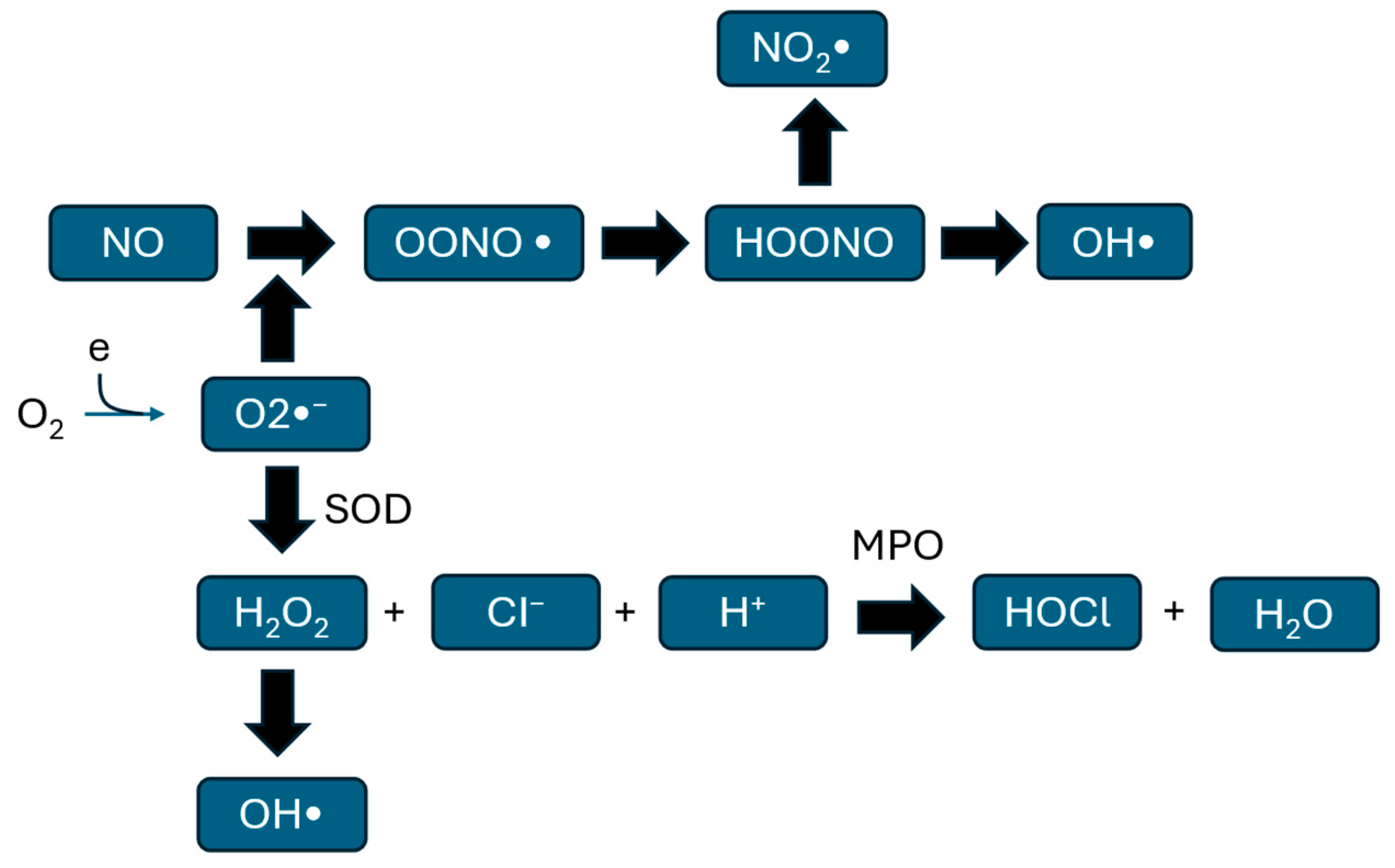 Biomolecules 16 01380 g001 Biomolecules 16 01380 g001