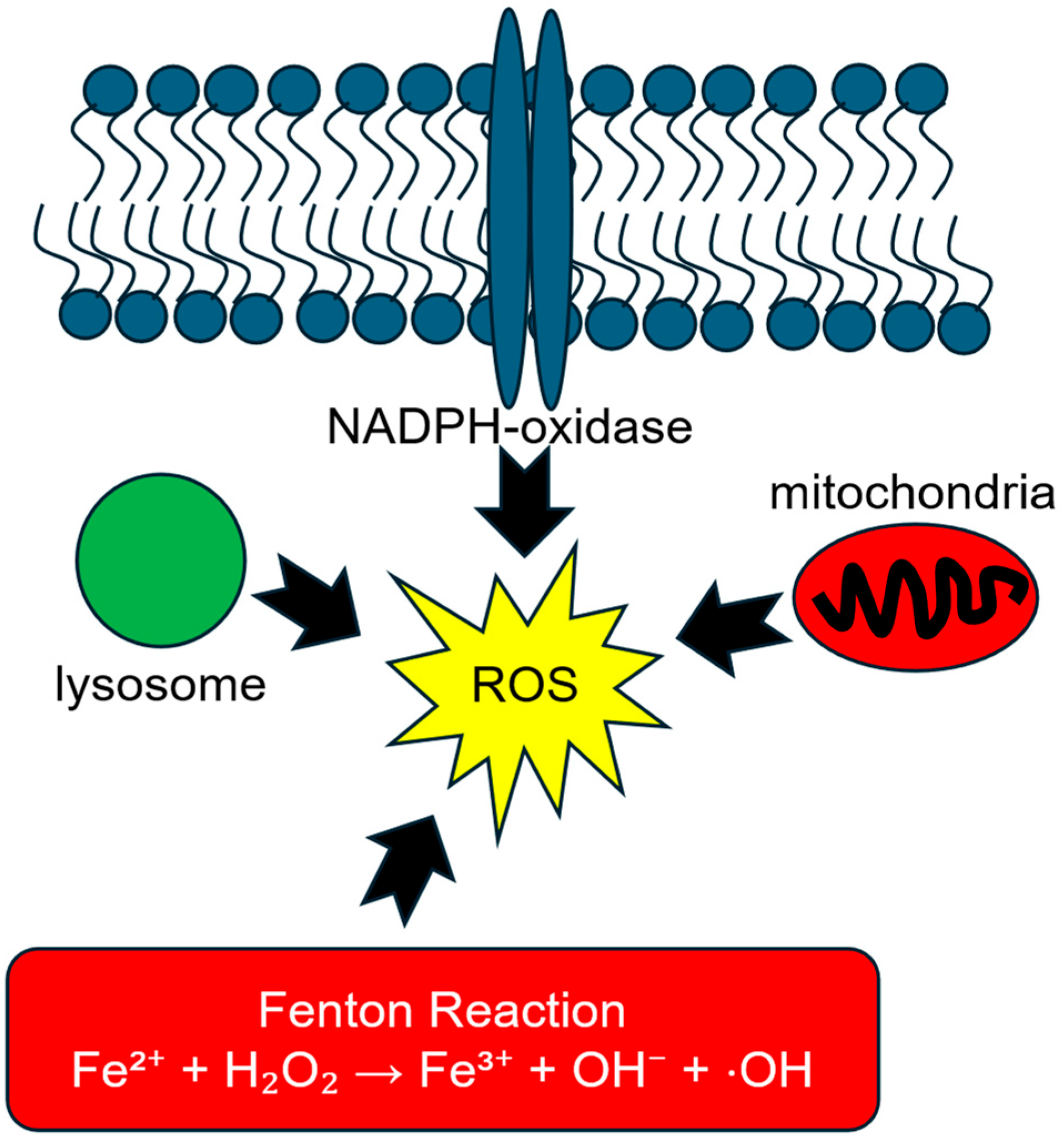 Biomolecules 16 01380 g002 Biomolecules 16 01380 g002