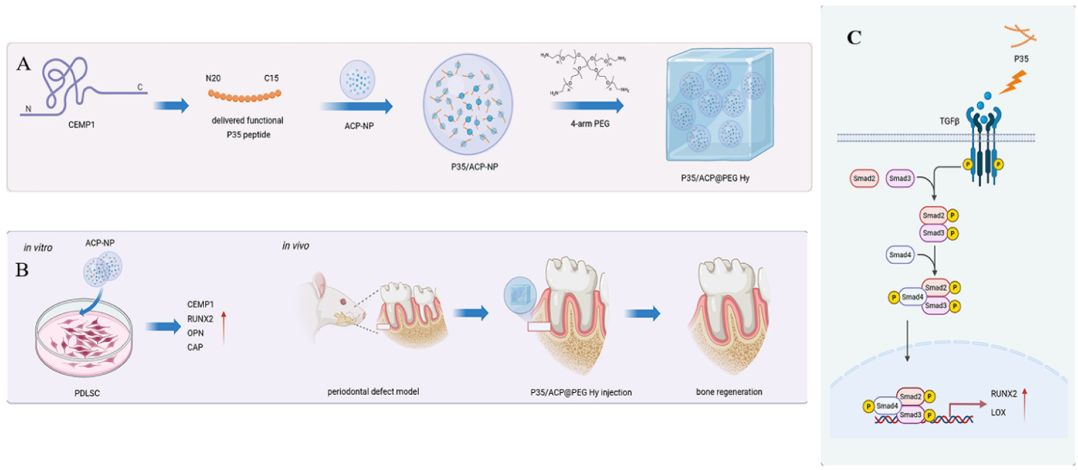 Biomolecules 16 01444 g001 Biomolecules 16 01444 g001