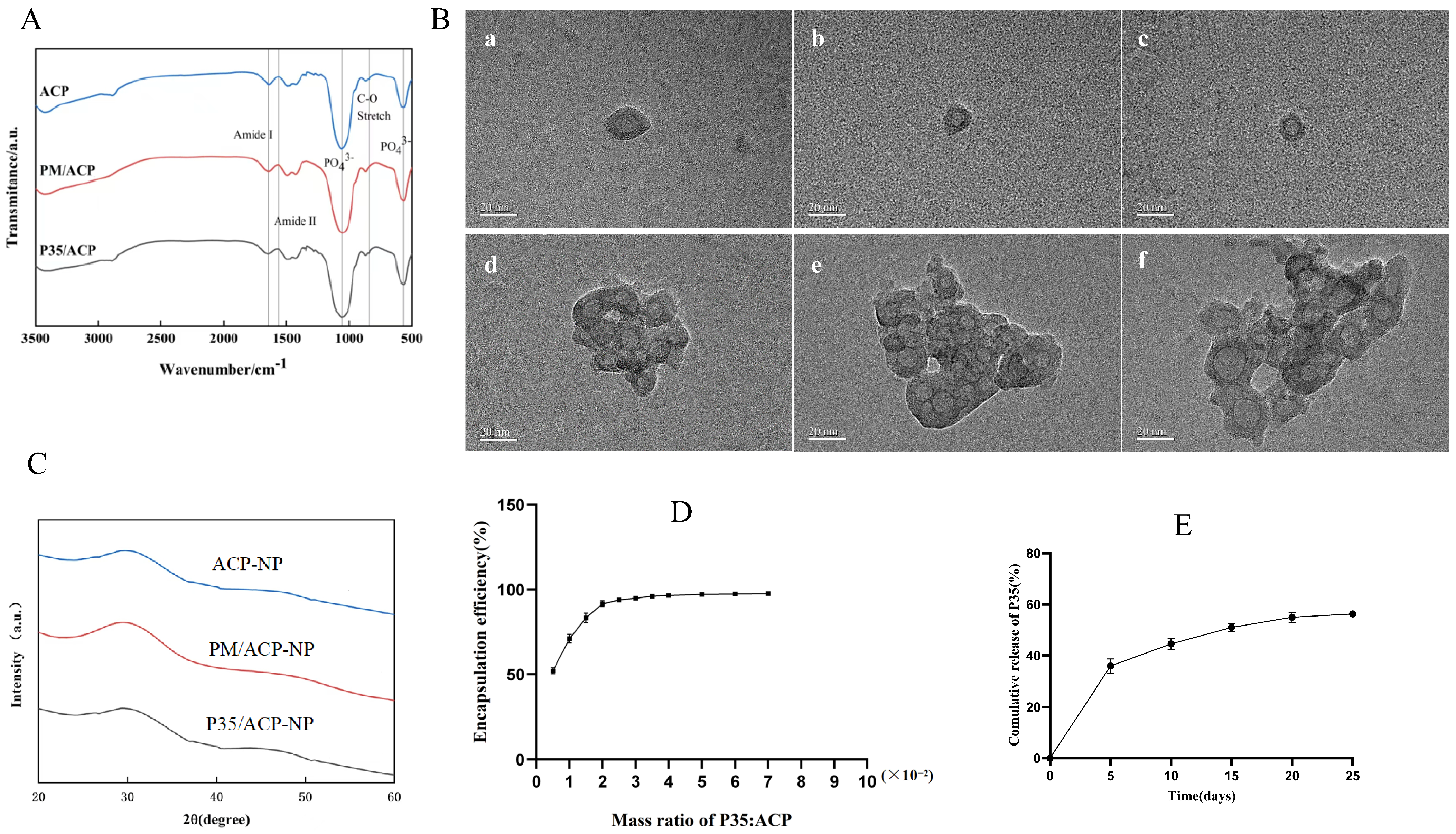 Biomolecules 16 01444 g002 Biomolecules 16 01444 g002