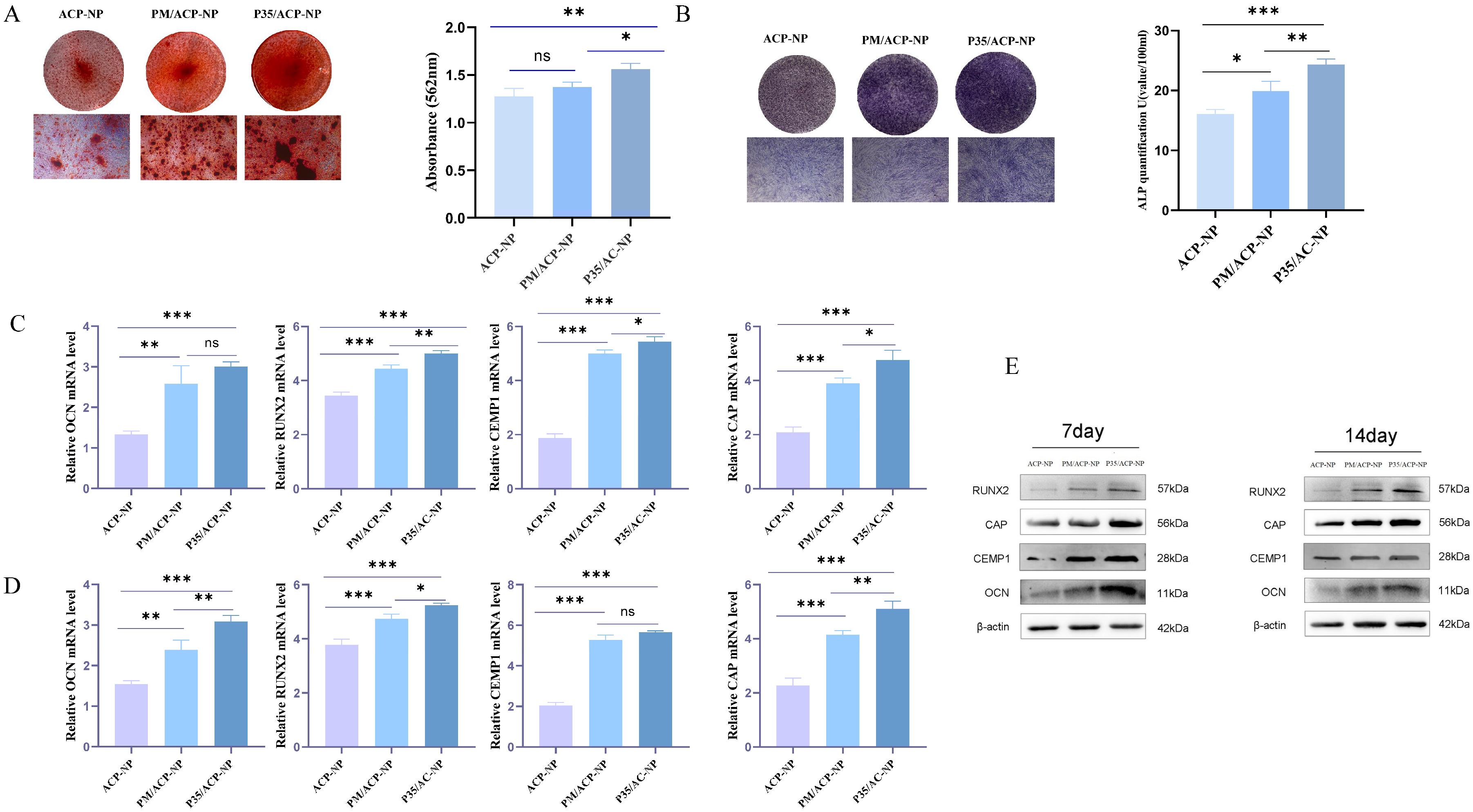 Biomolecules 16 01444 g003 Biomolecules 16 01444 g003
