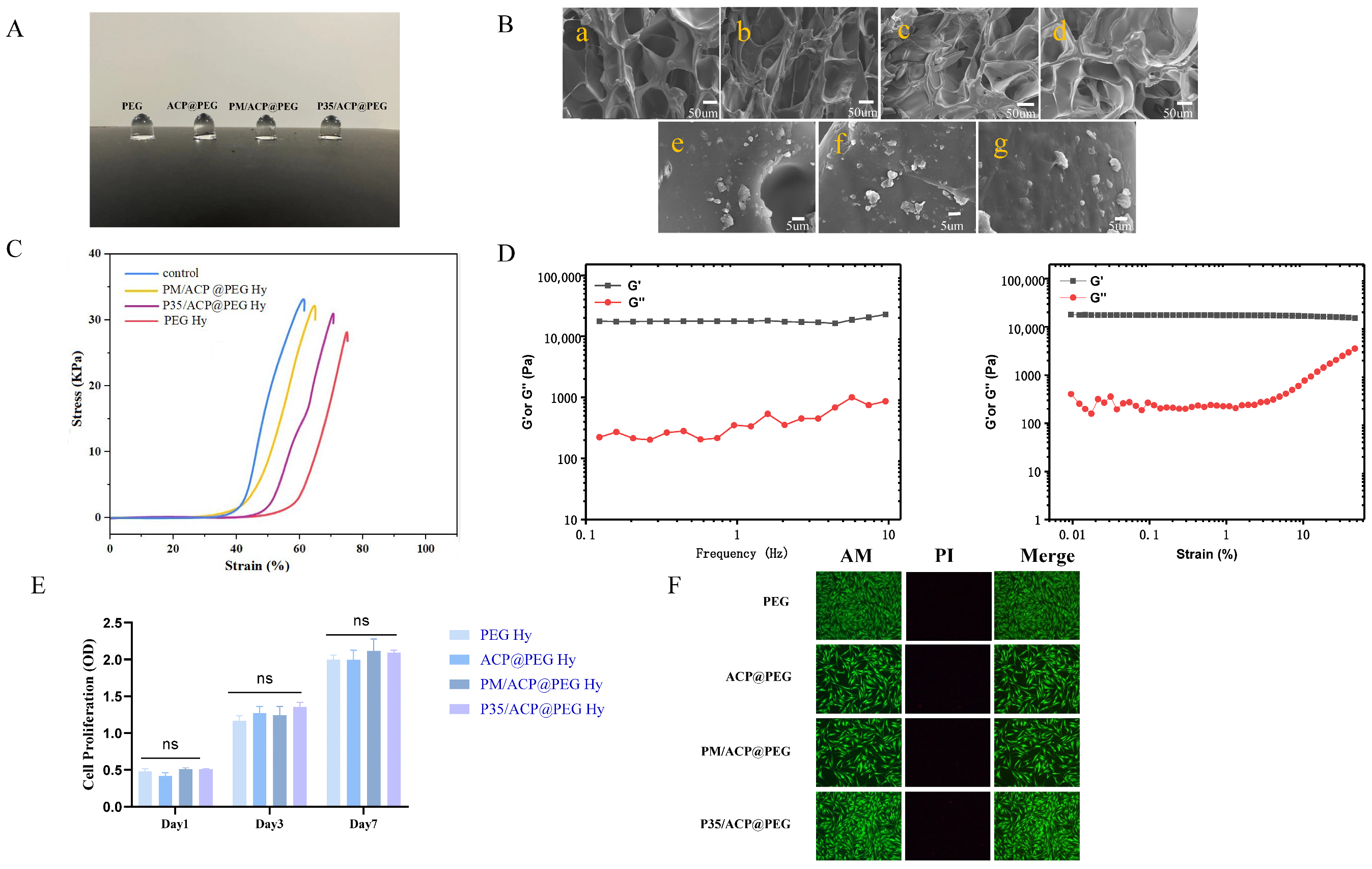 Biomolecules 16 01444 g004 Biomolecules 16 01444 g004