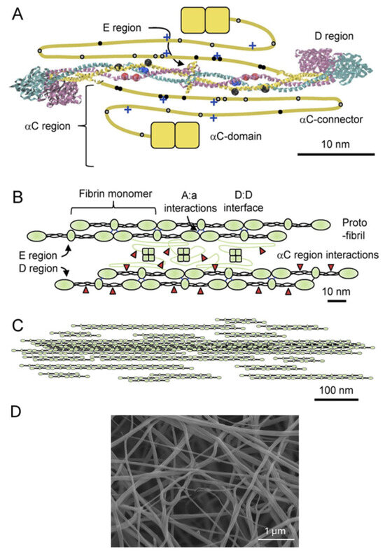 Biomolecules 16 01471 g001