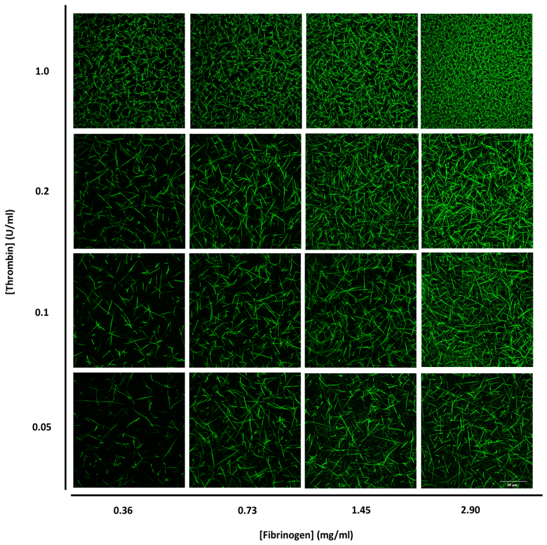 Biomolecules 16 01471 g003 Biomolecules 16 01471 g003