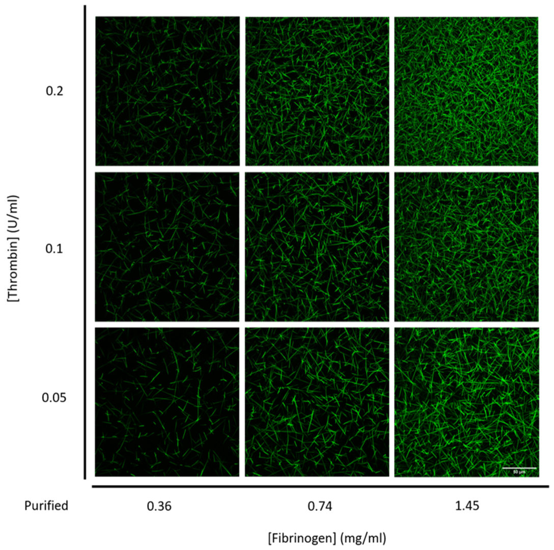 Biomolecules 16 01471 g004 Biomolecules 16 01471 g004