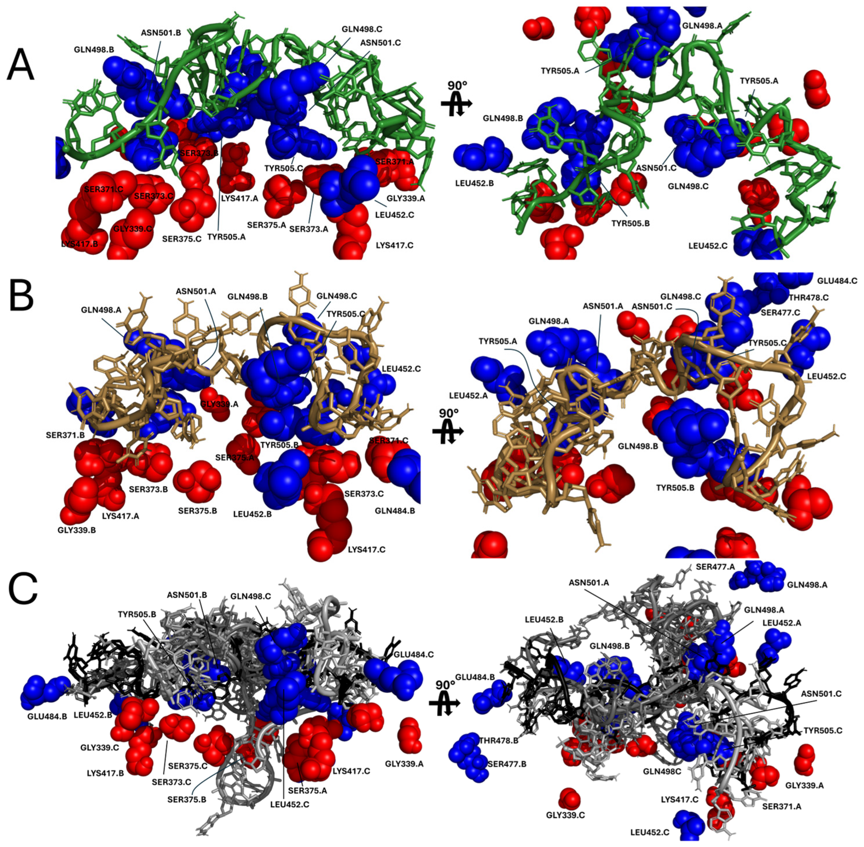Biomolecules 16 01476 g010 Biomolecules 16 01476 g010
