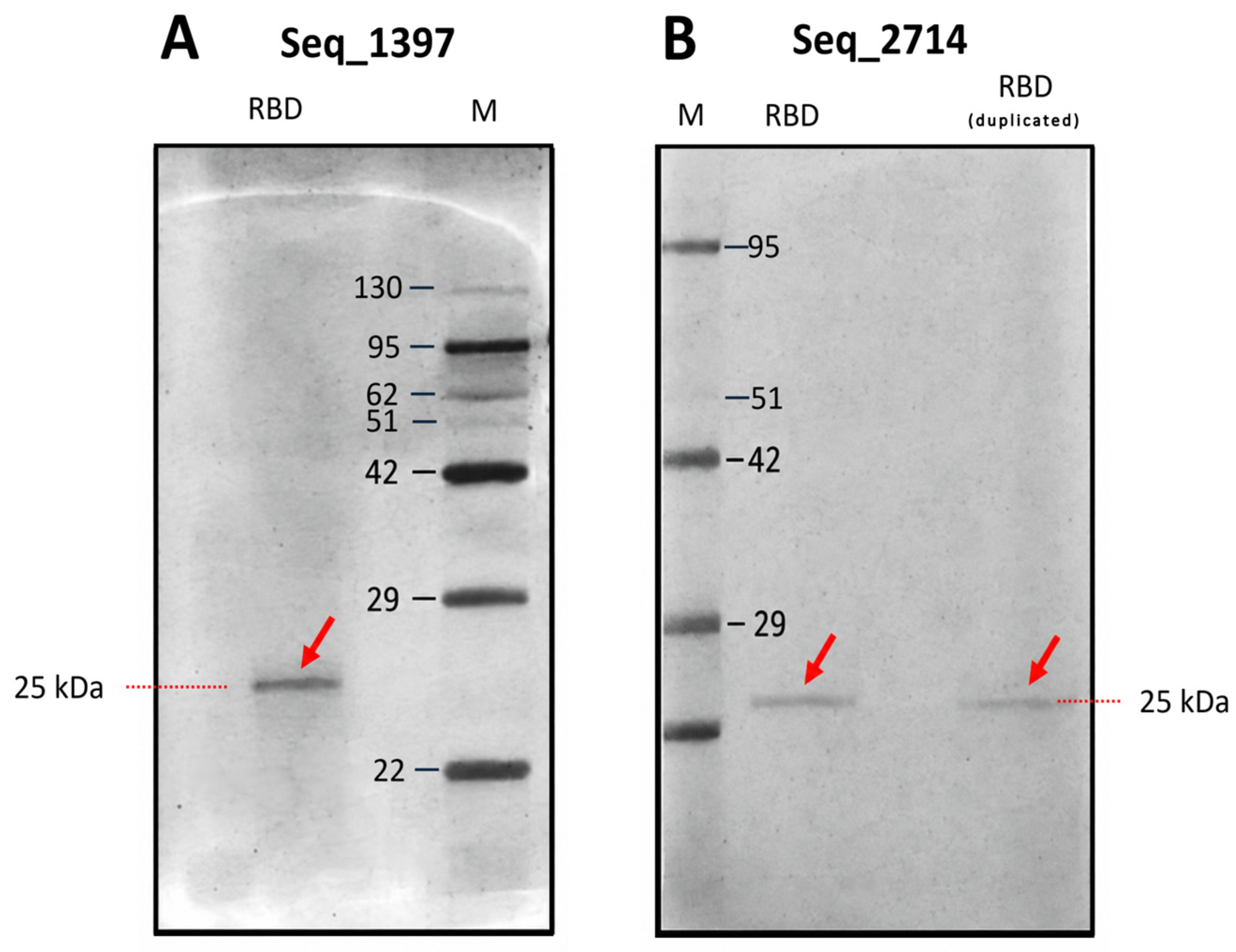 Biomolecules 16 01476 g012 Biomolecules 16 01476 g012