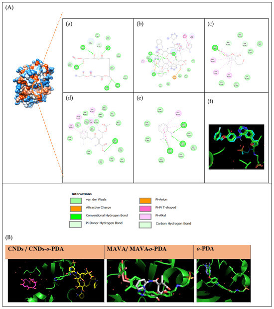 Biomolecules 16 01478 g005
