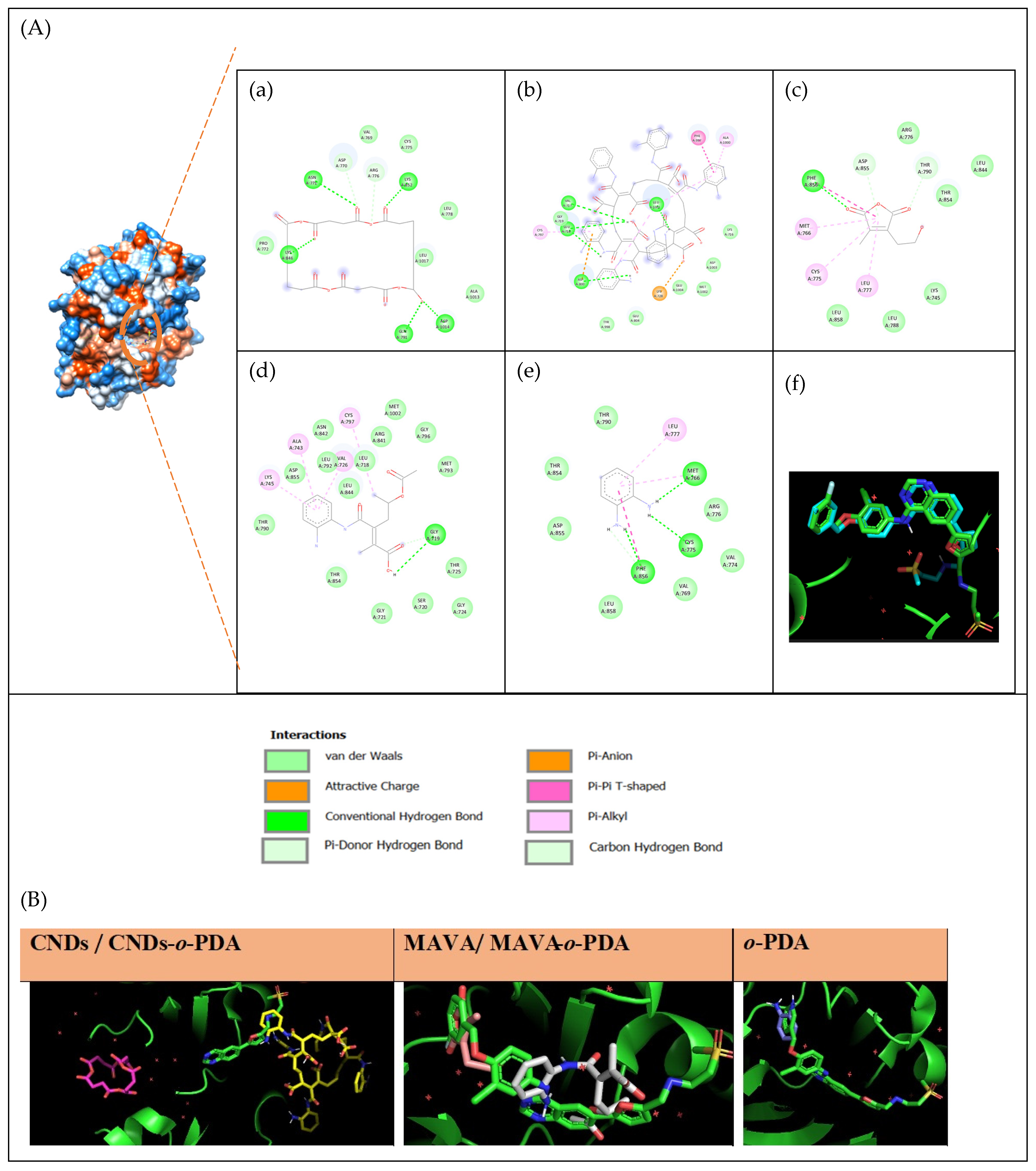 Biomolecules 16 01478 g005 Biomolecules 16 01478 g005