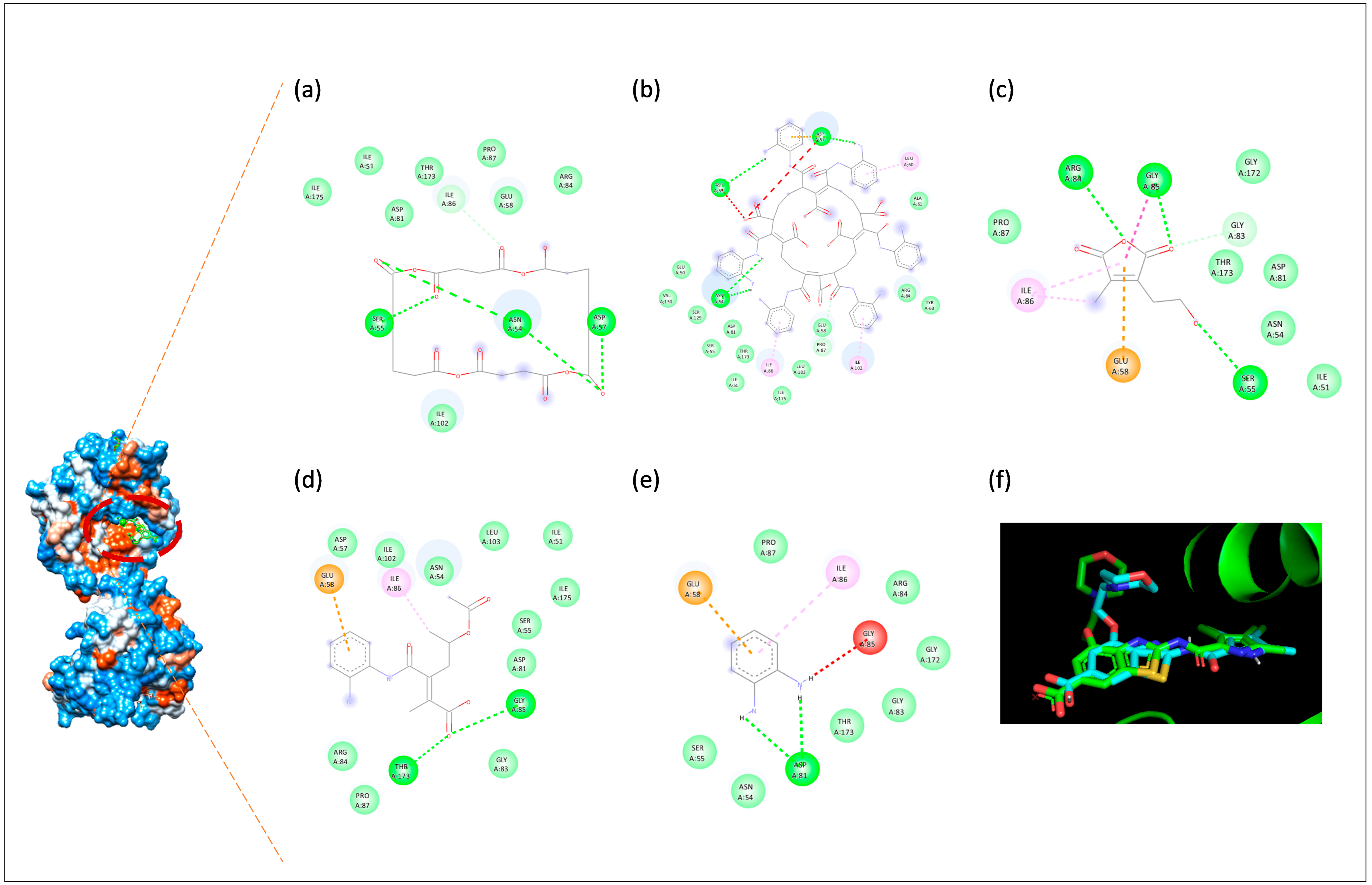 Biomolecules 16 01478 g006 Biomolecules 16 01478 g006