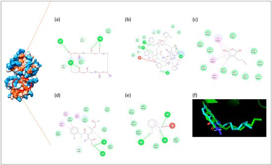 Biomolecules 16 01478 g009