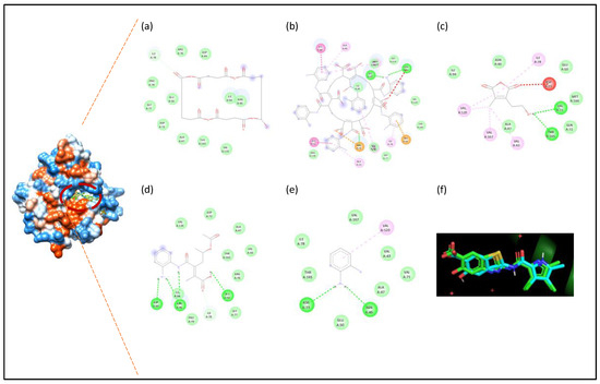 Biomolecules 16 01478 g010