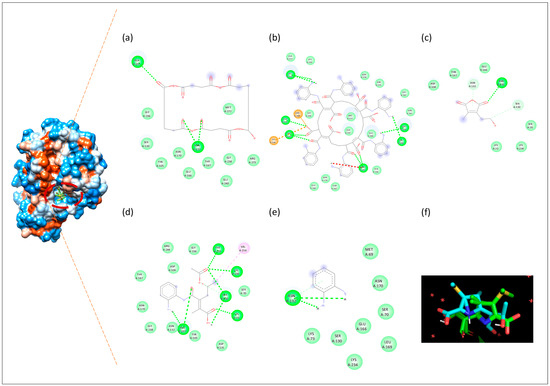 Biomolecules 16 01478 g011
