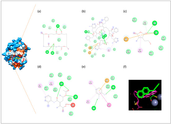 Biomolecules 16 01478 g012