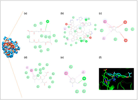 Biomolecules 16 01478 g013