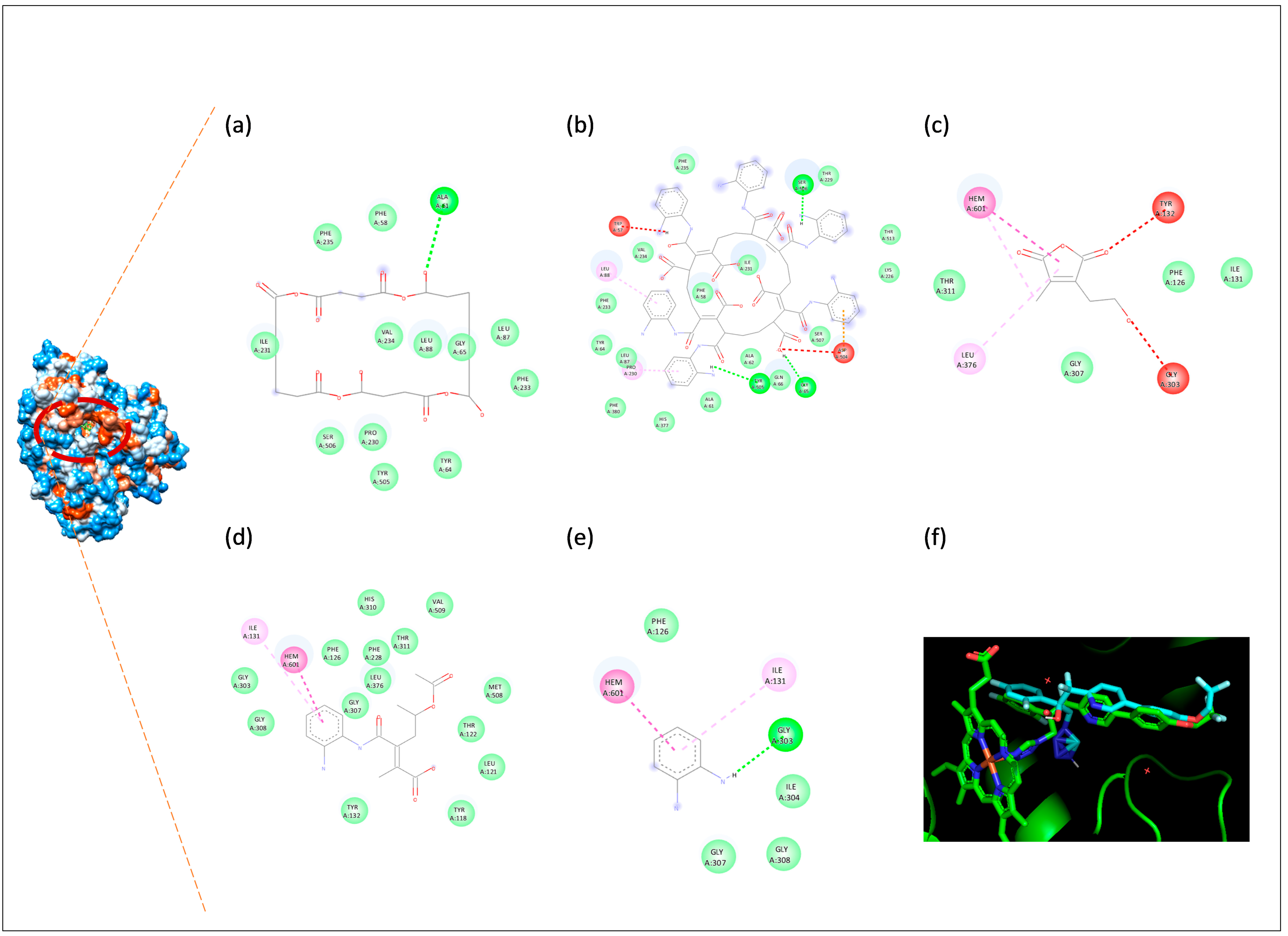 Biomolecules 16 01478 g013 Biomolecules 16 01478 g013