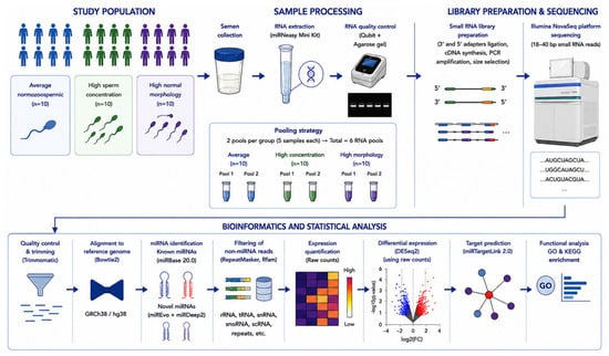 Molecular Heterogeneity Within Normozoospermia: A Pilot Pooled Small ...