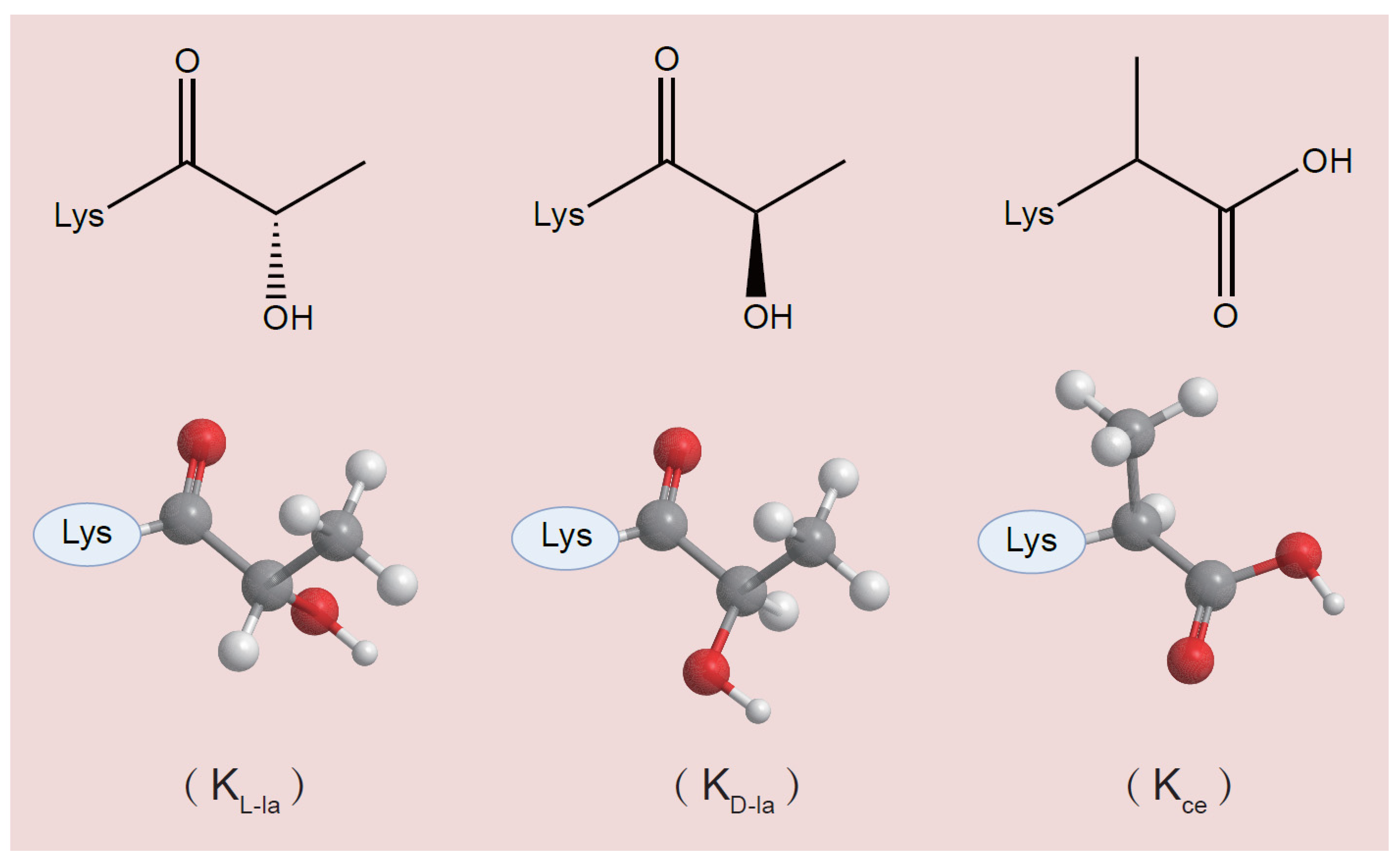 Biomolecules 16 01528 g002