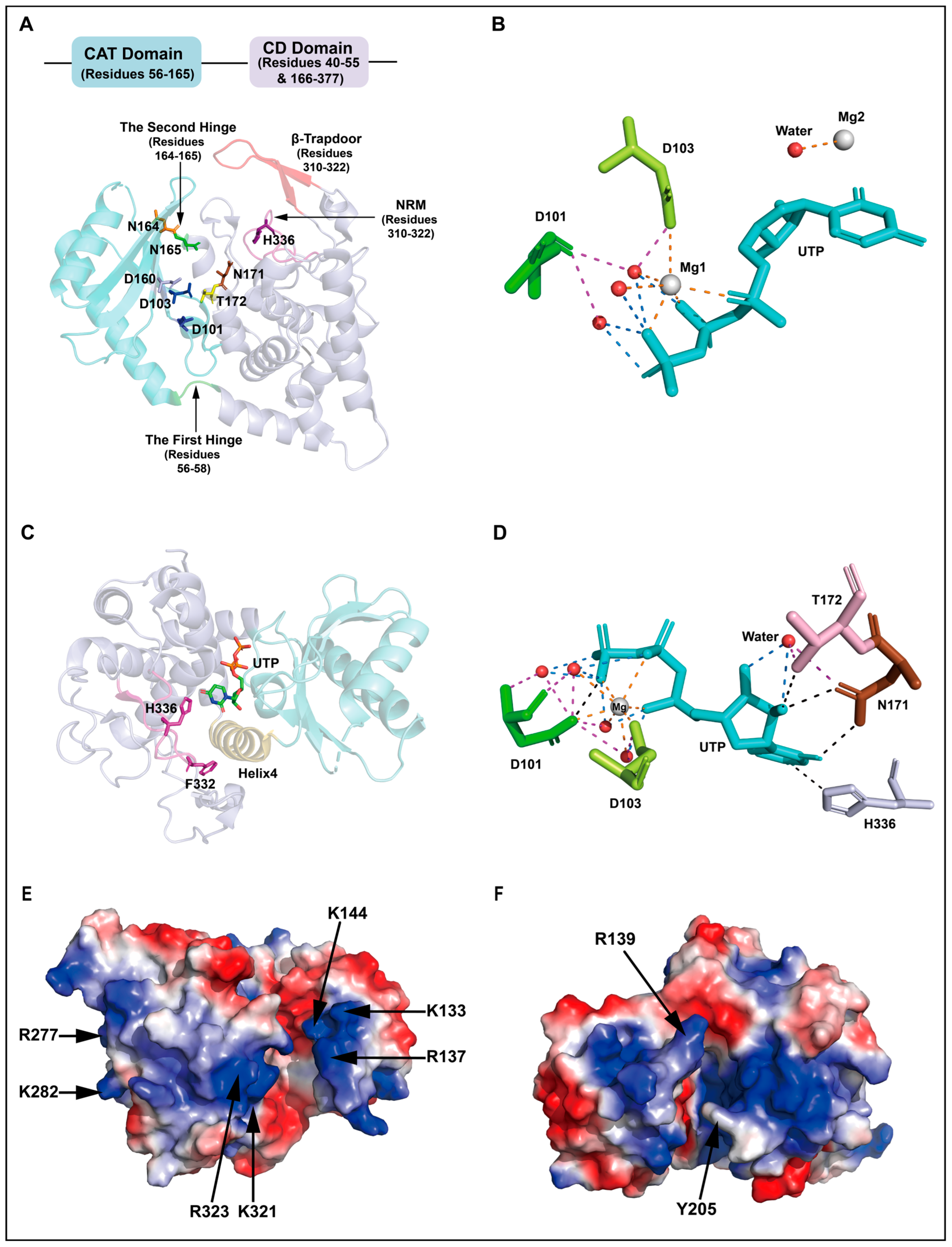 Biomolecules 16 01535 g003 Biomolecules 16 01535 g003