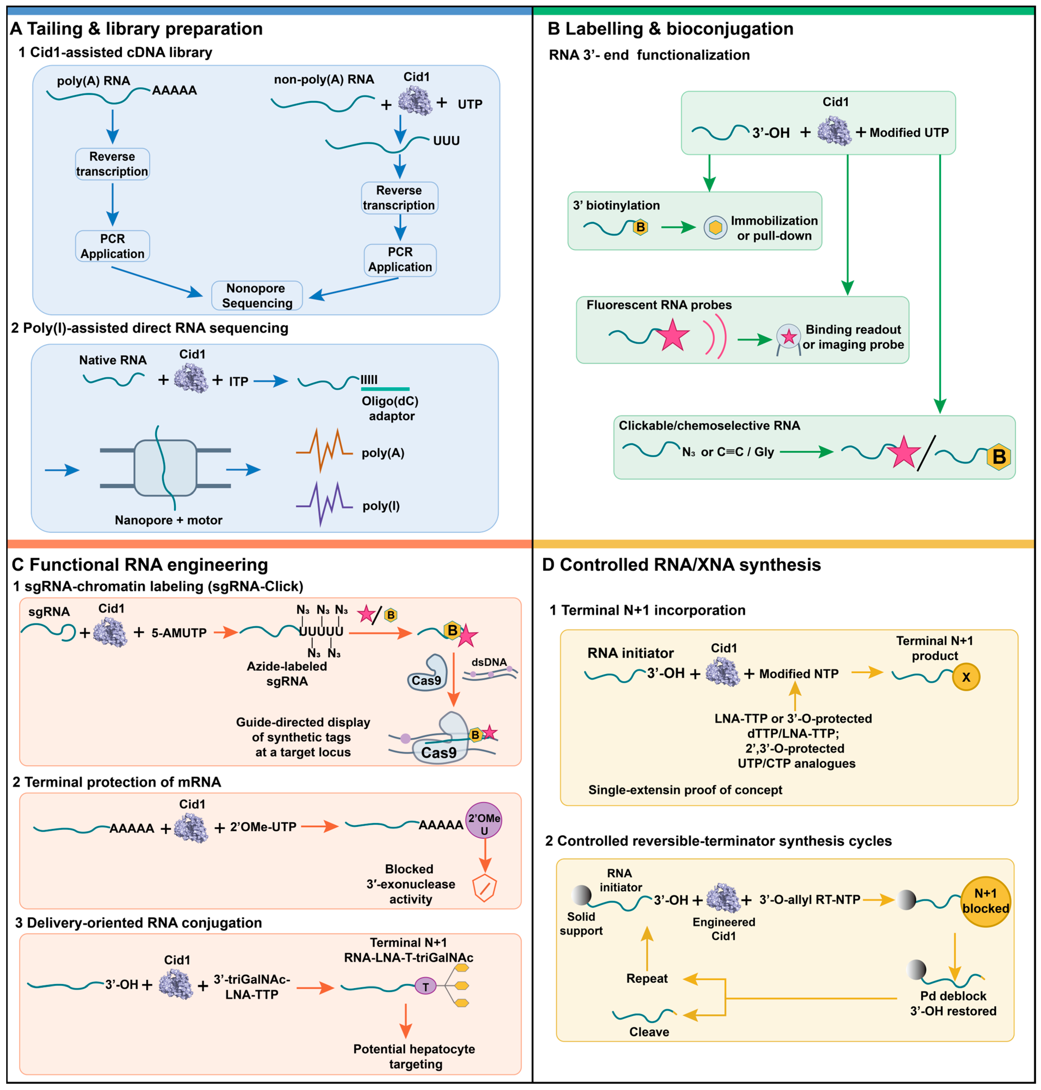 Biomolecules 16 01535 g005 Biomolecules 16 01535 g005